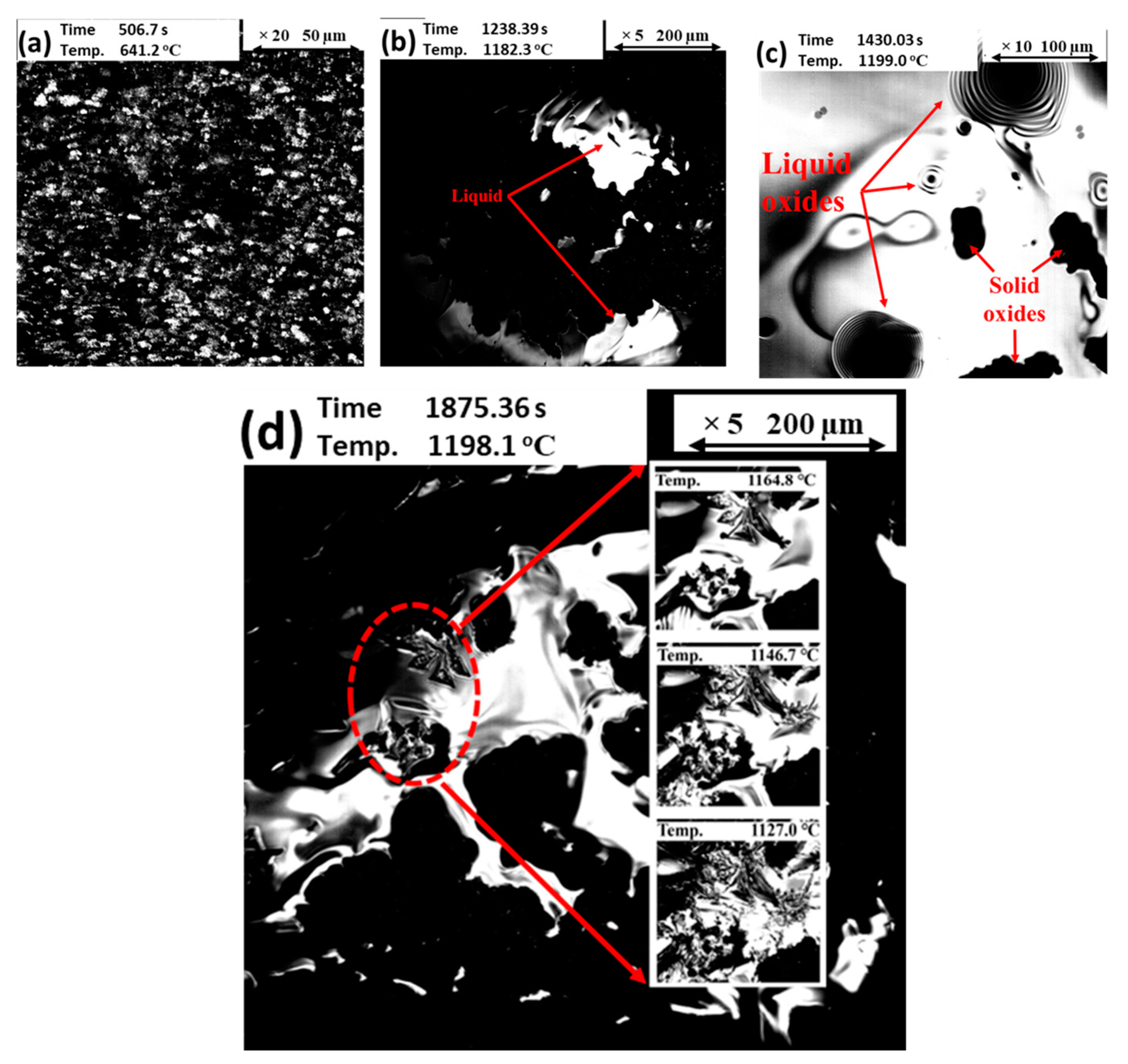 Coatings 14 00722 g003