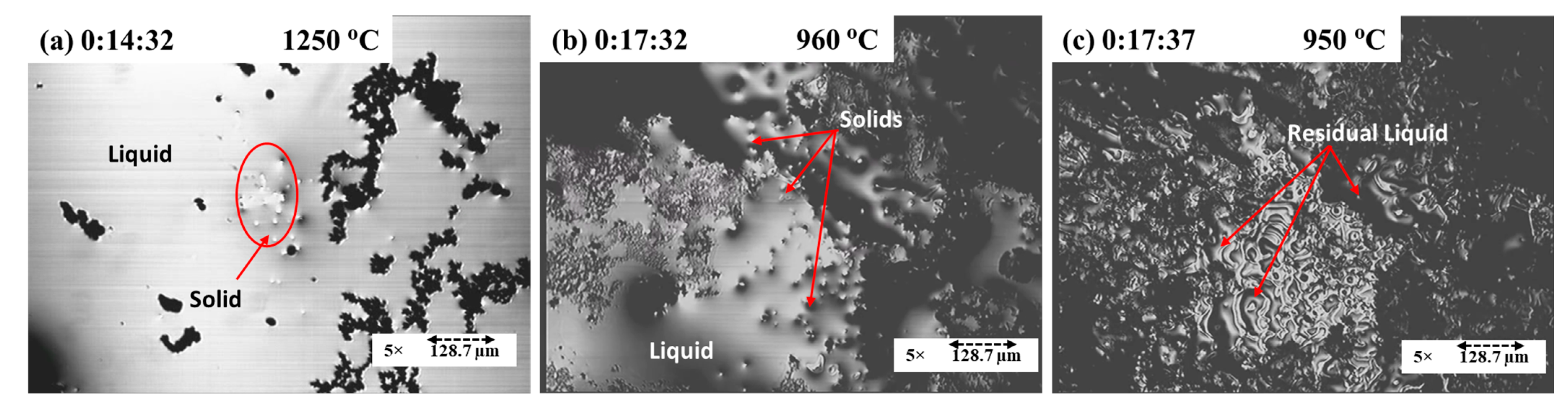 Coatings 14 00722 g004