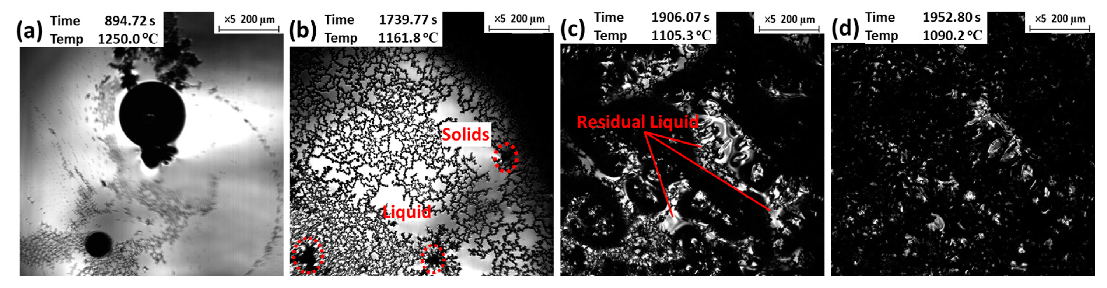 Coatings 14 00722 g006
