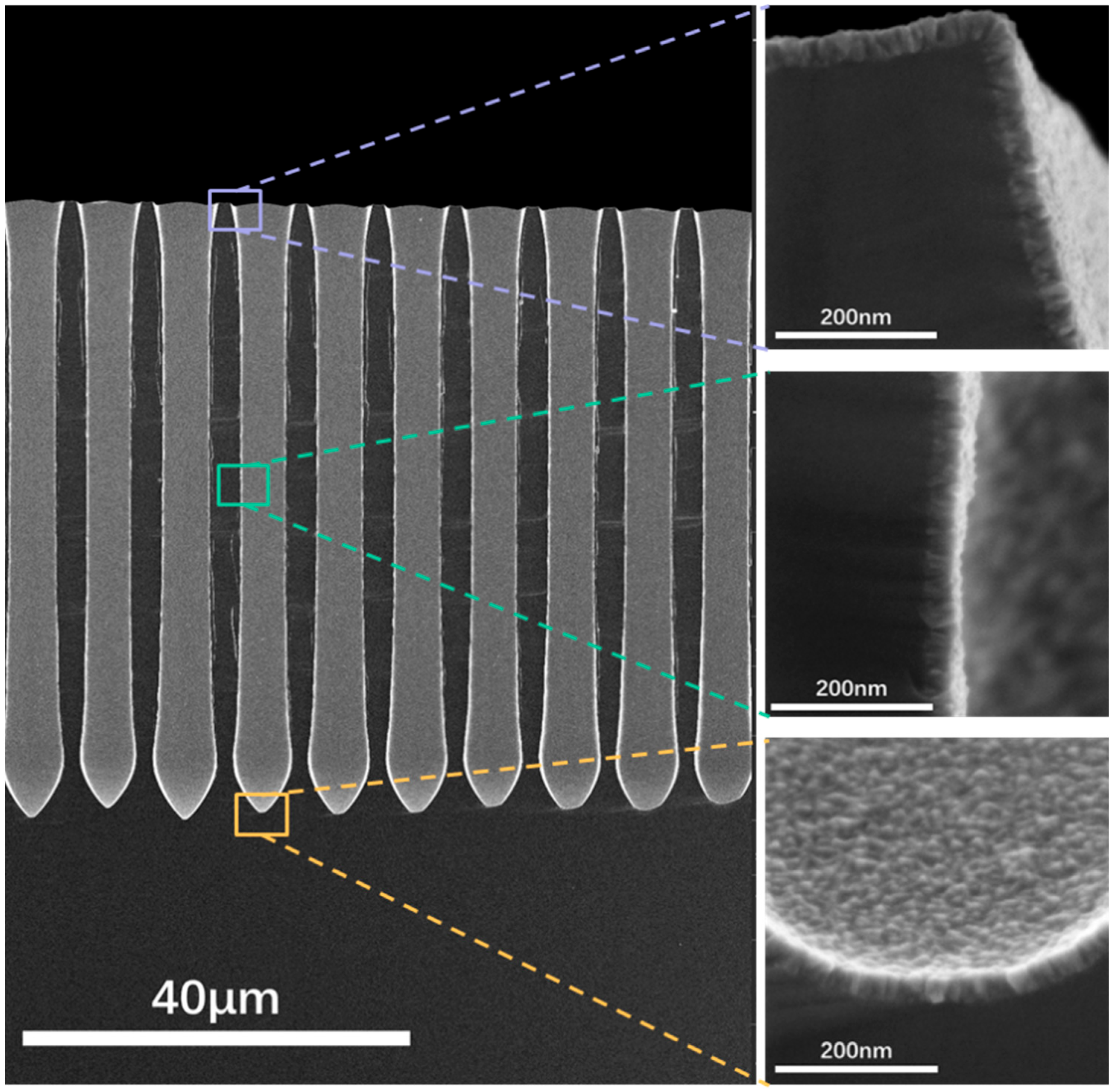 Coatings 14 00724 g012