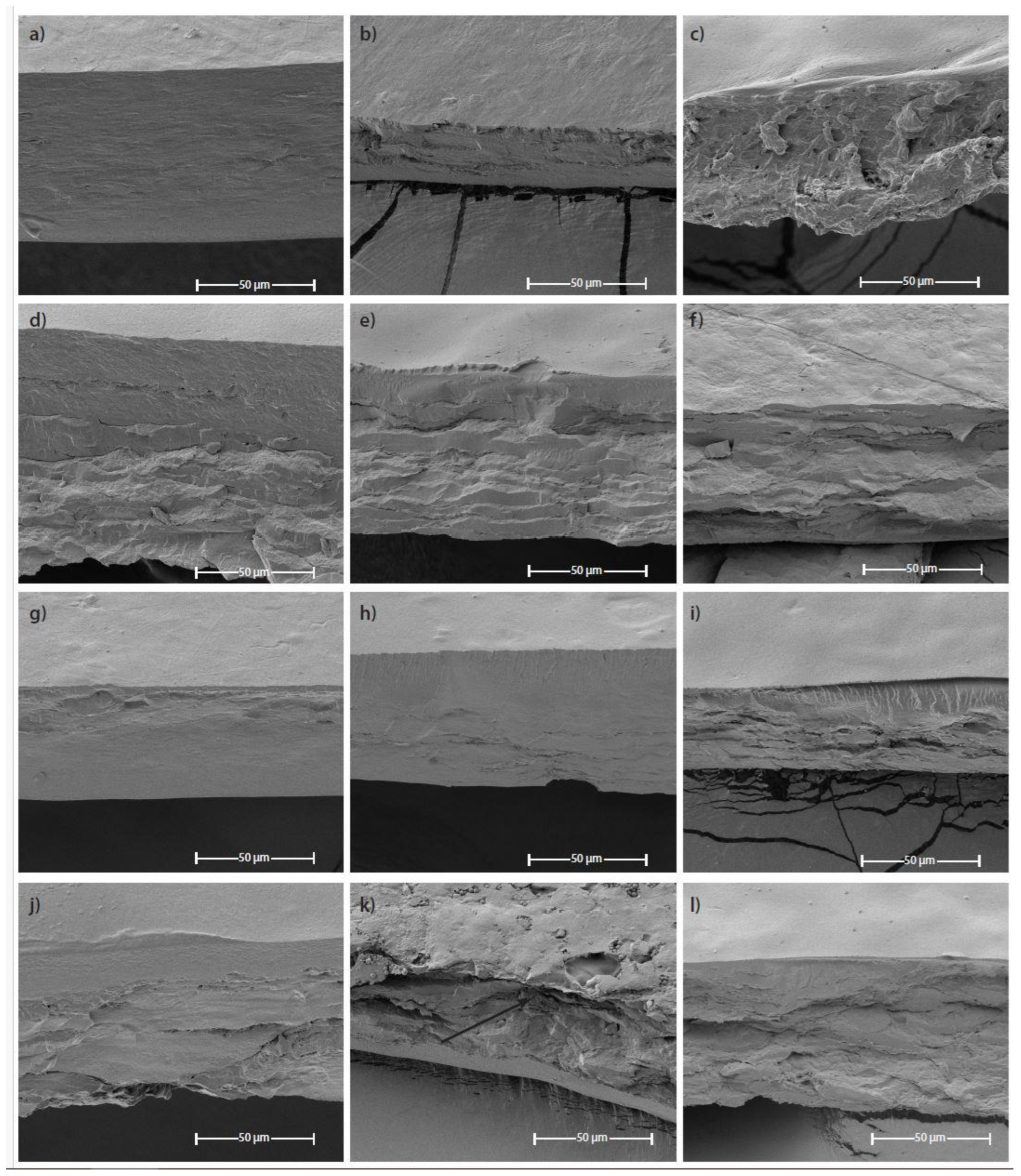 Coatings 14 00725 g008