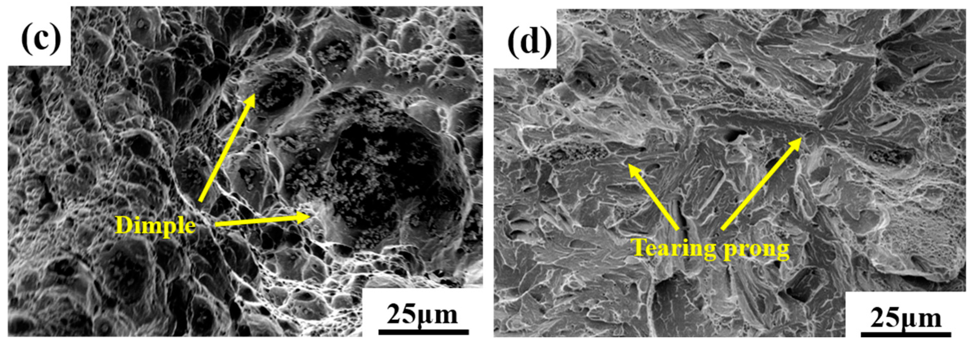 Coatings 14 00727 g005b