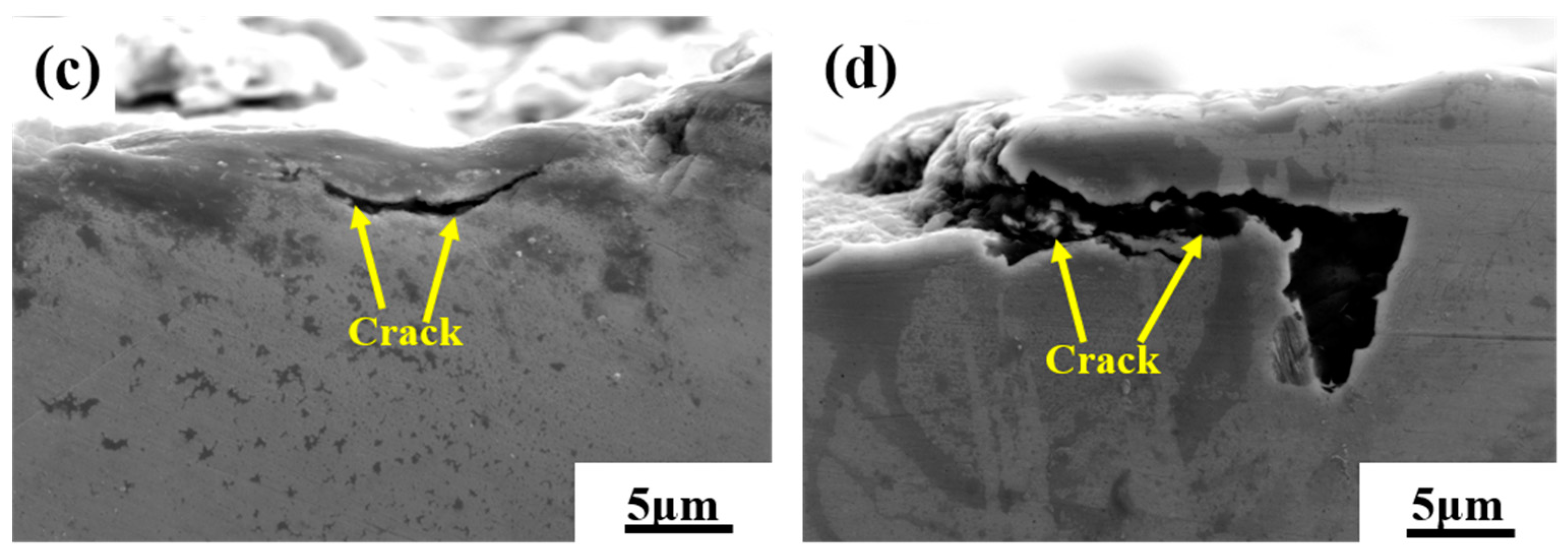 Coatings 14 00727 g008b
