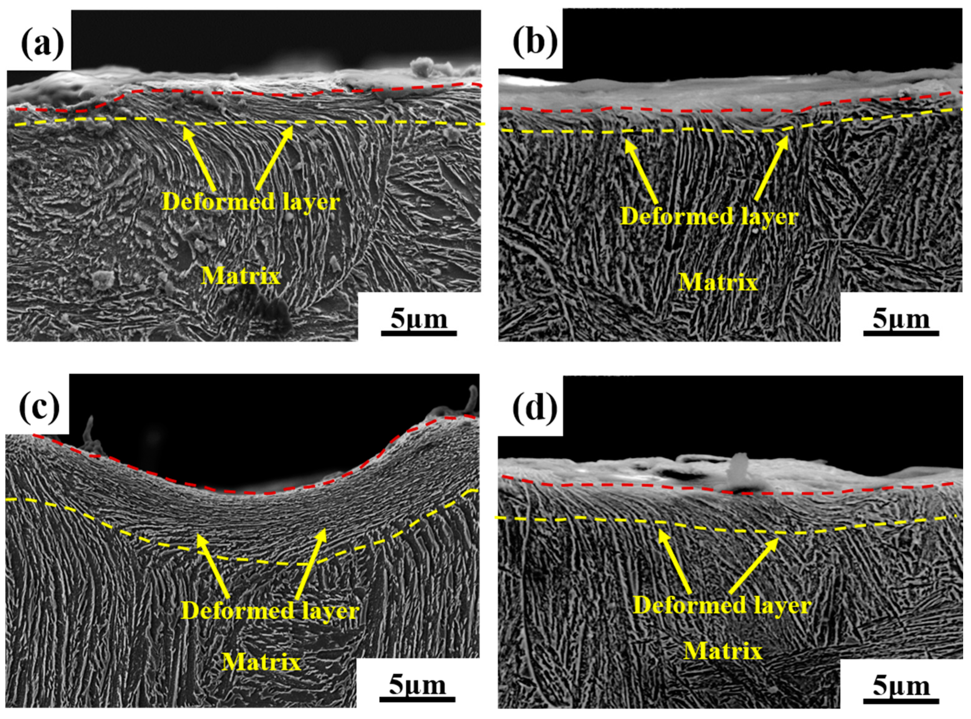 Coatings 14 00727 g009