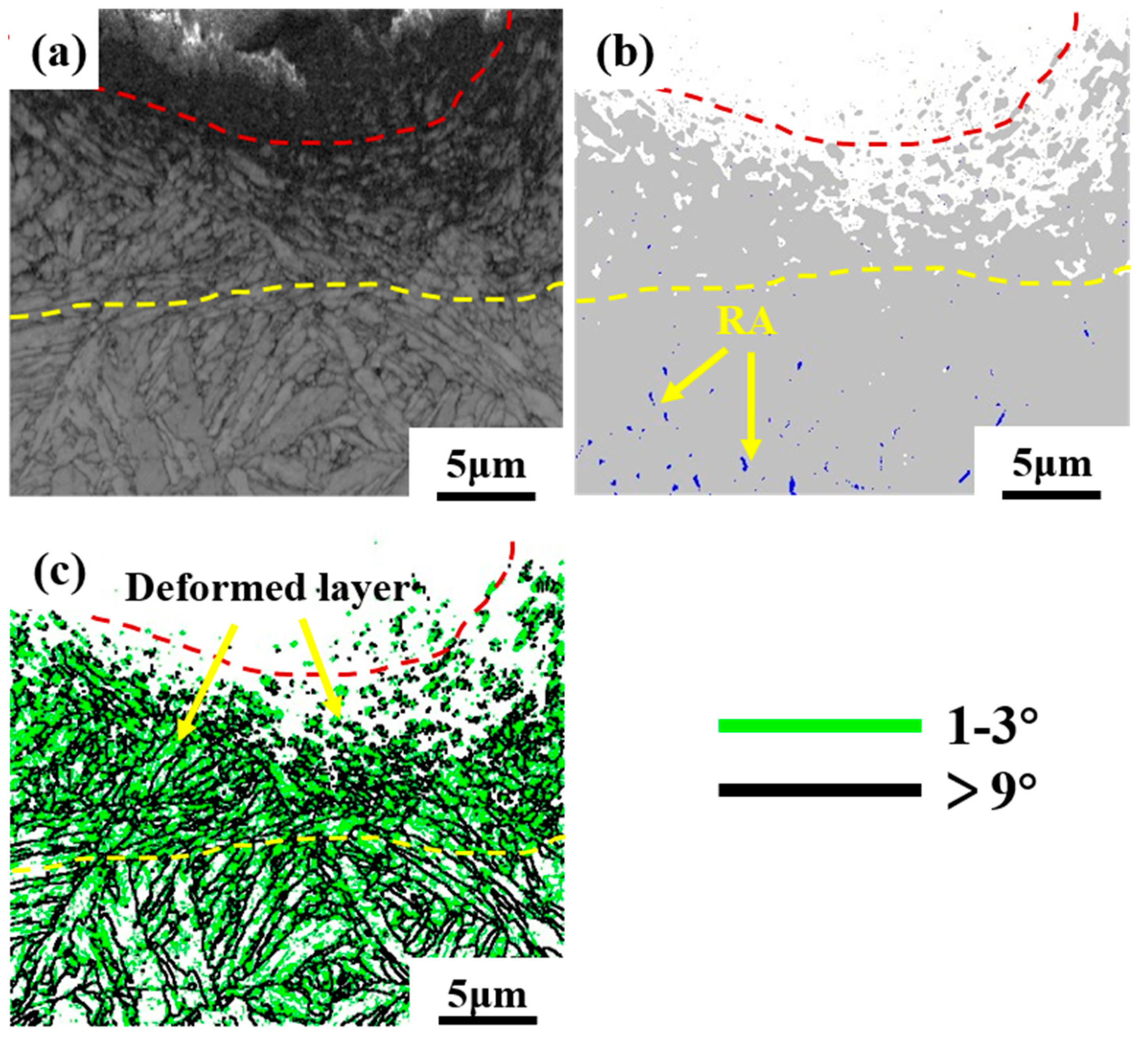 Coatings 14 00727 g011