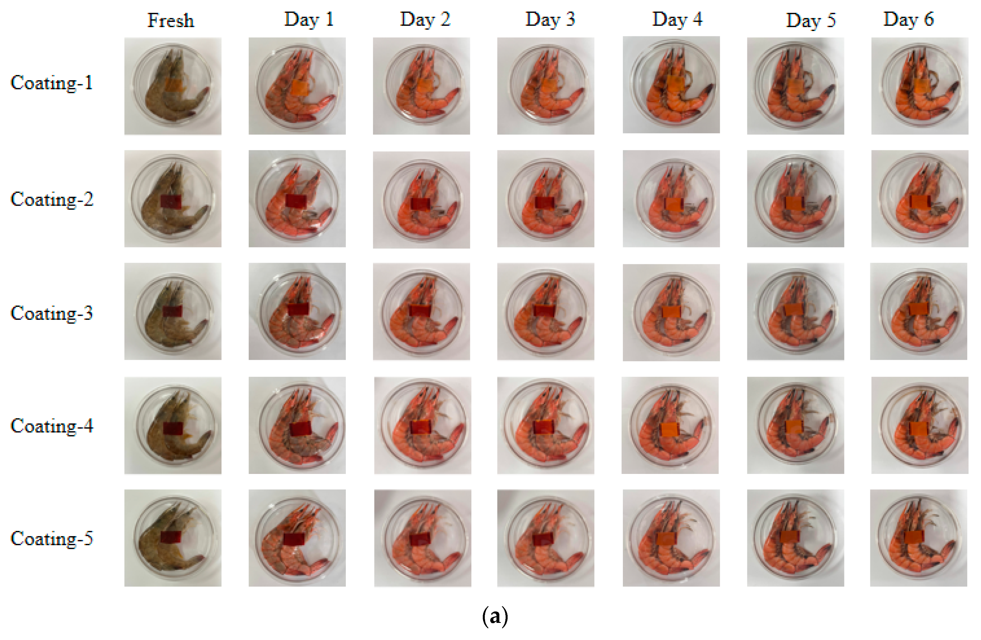 Coatings 14 00728 g008a