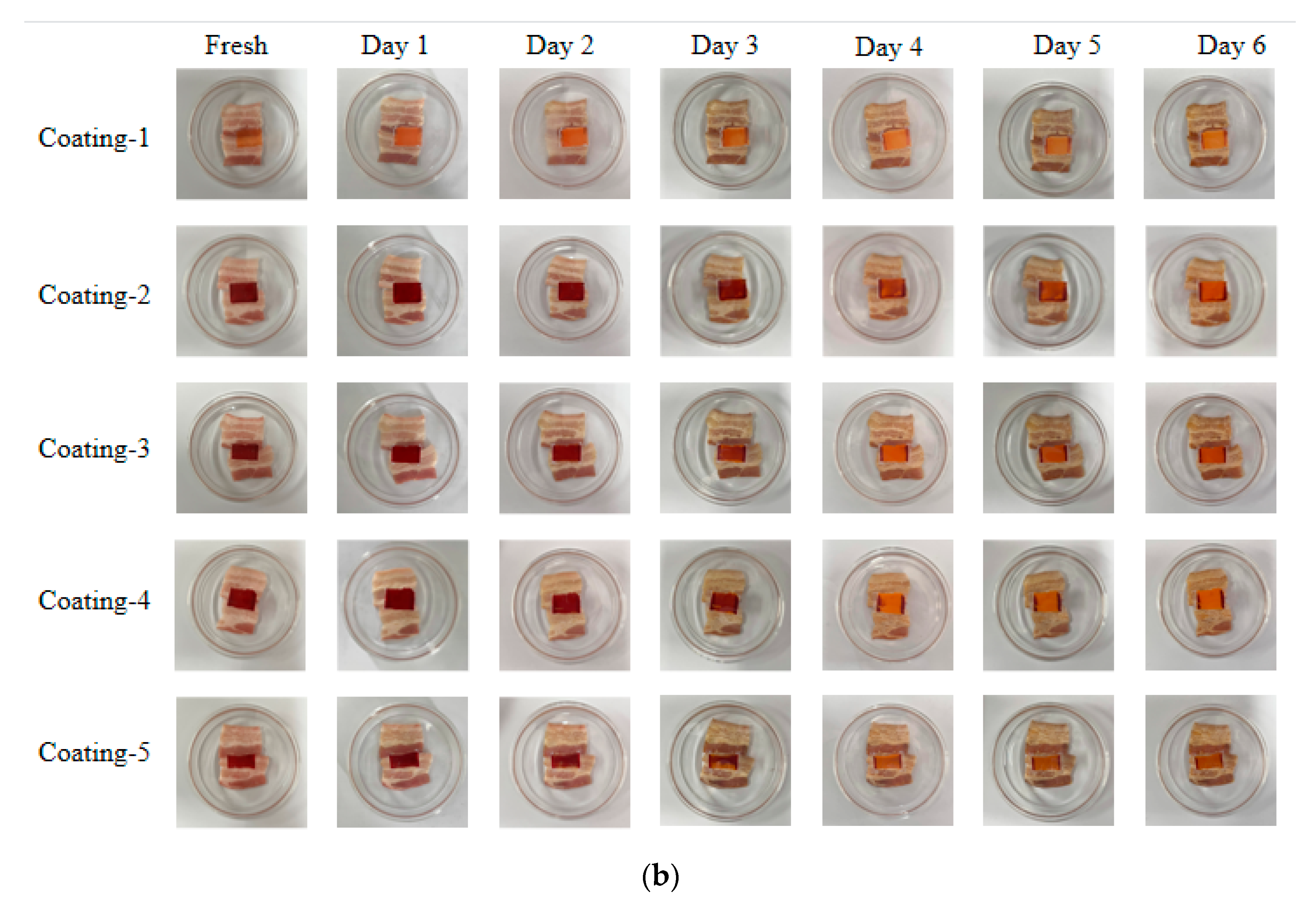 Coatings 14 00728 g008b