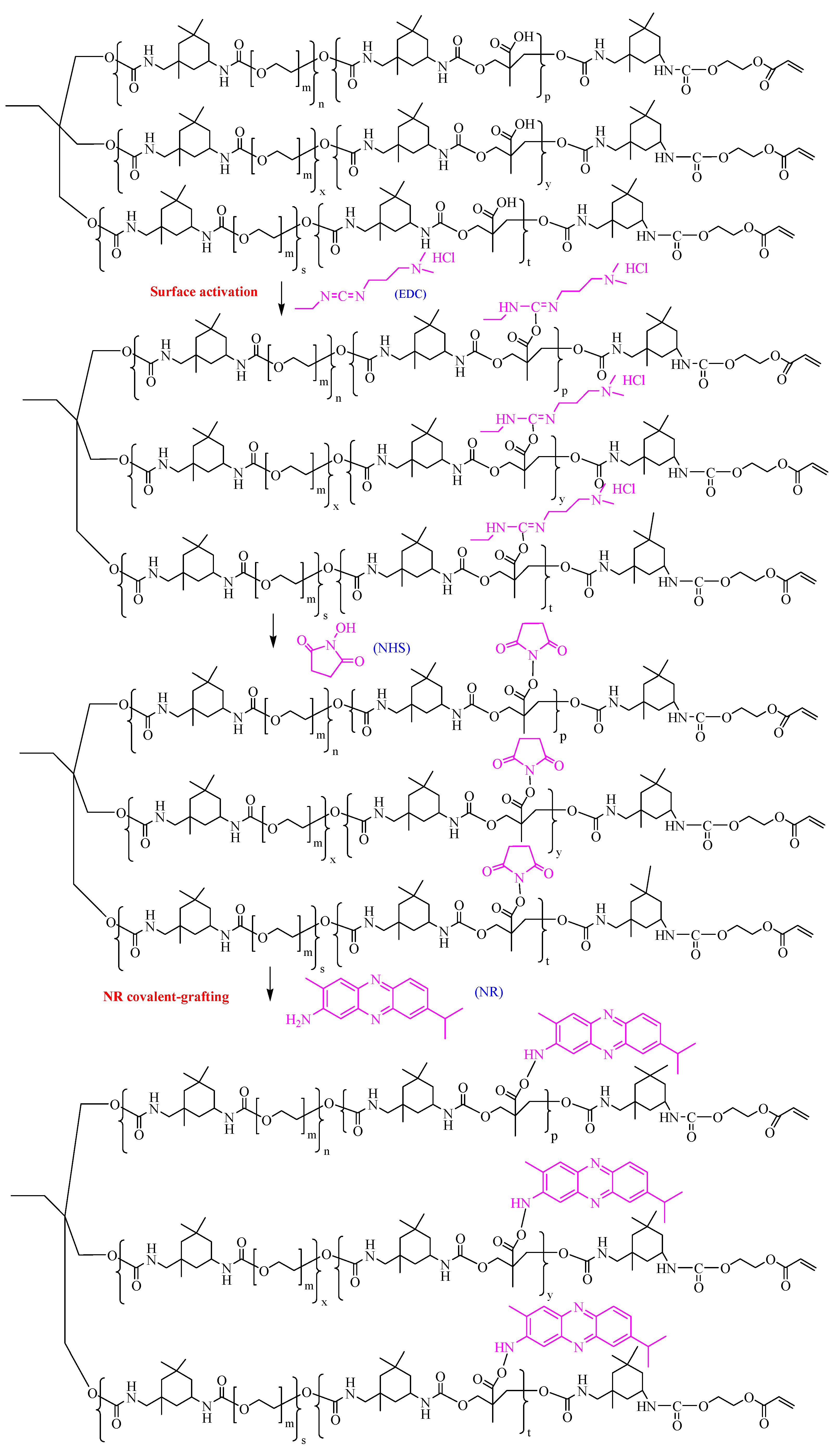 Coatings 14 00728 sch002