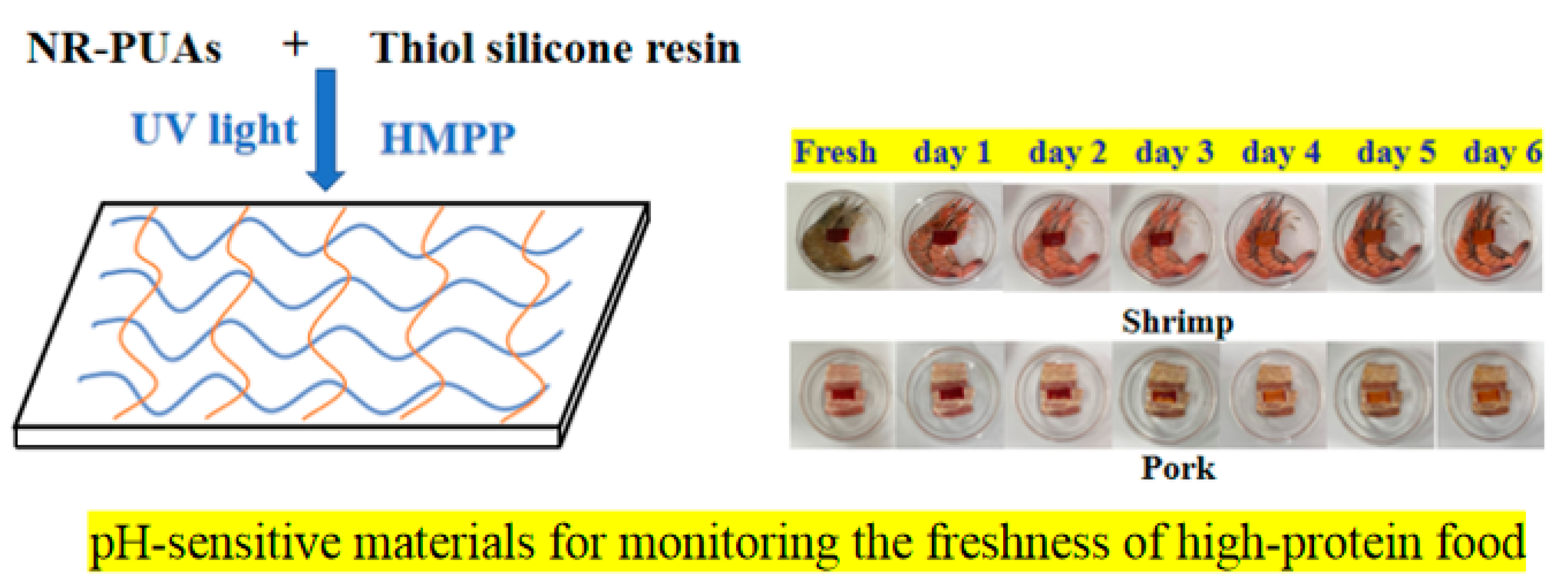 Coatings 14 00728 sch003