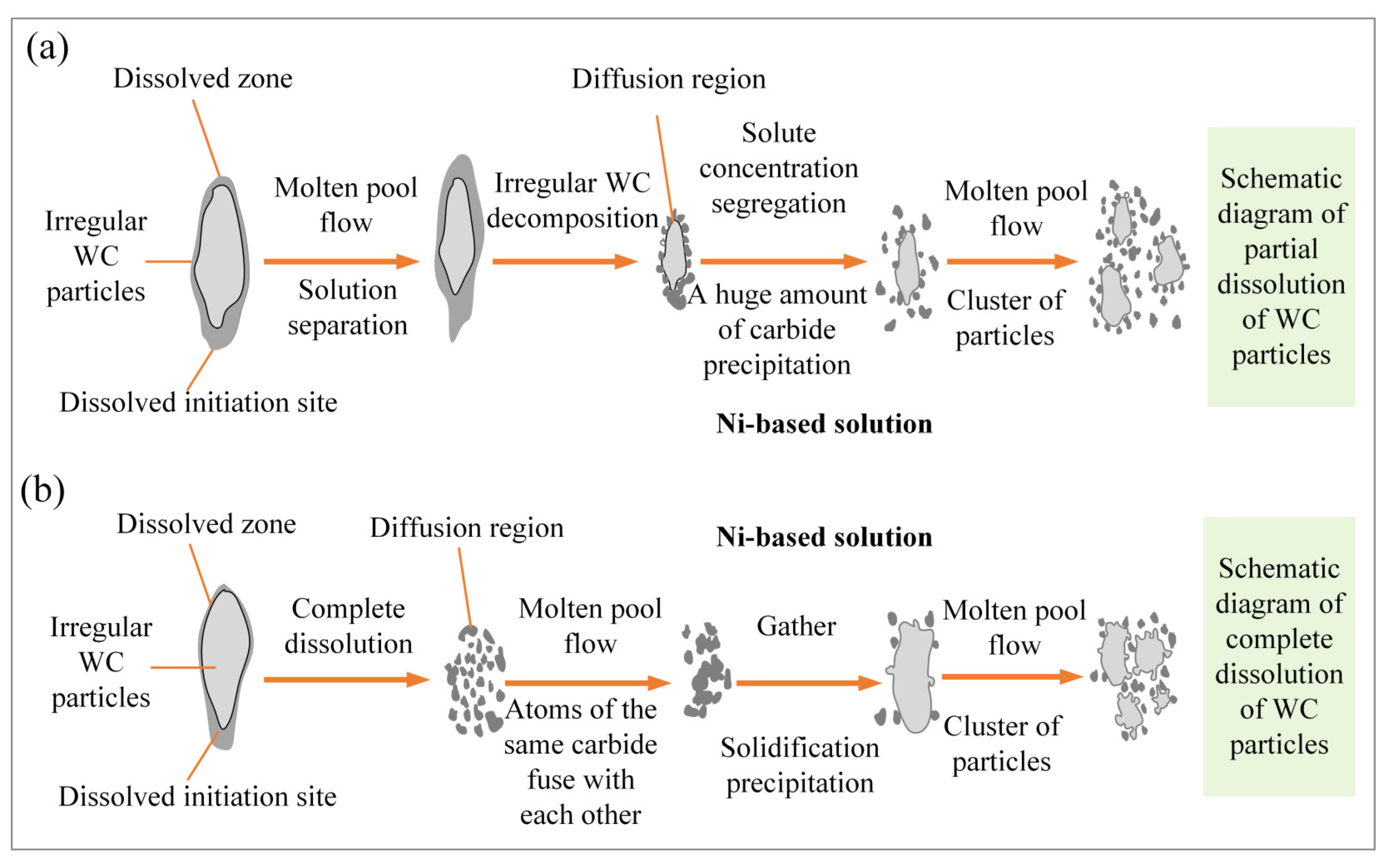 Coatings 14 00729 g012