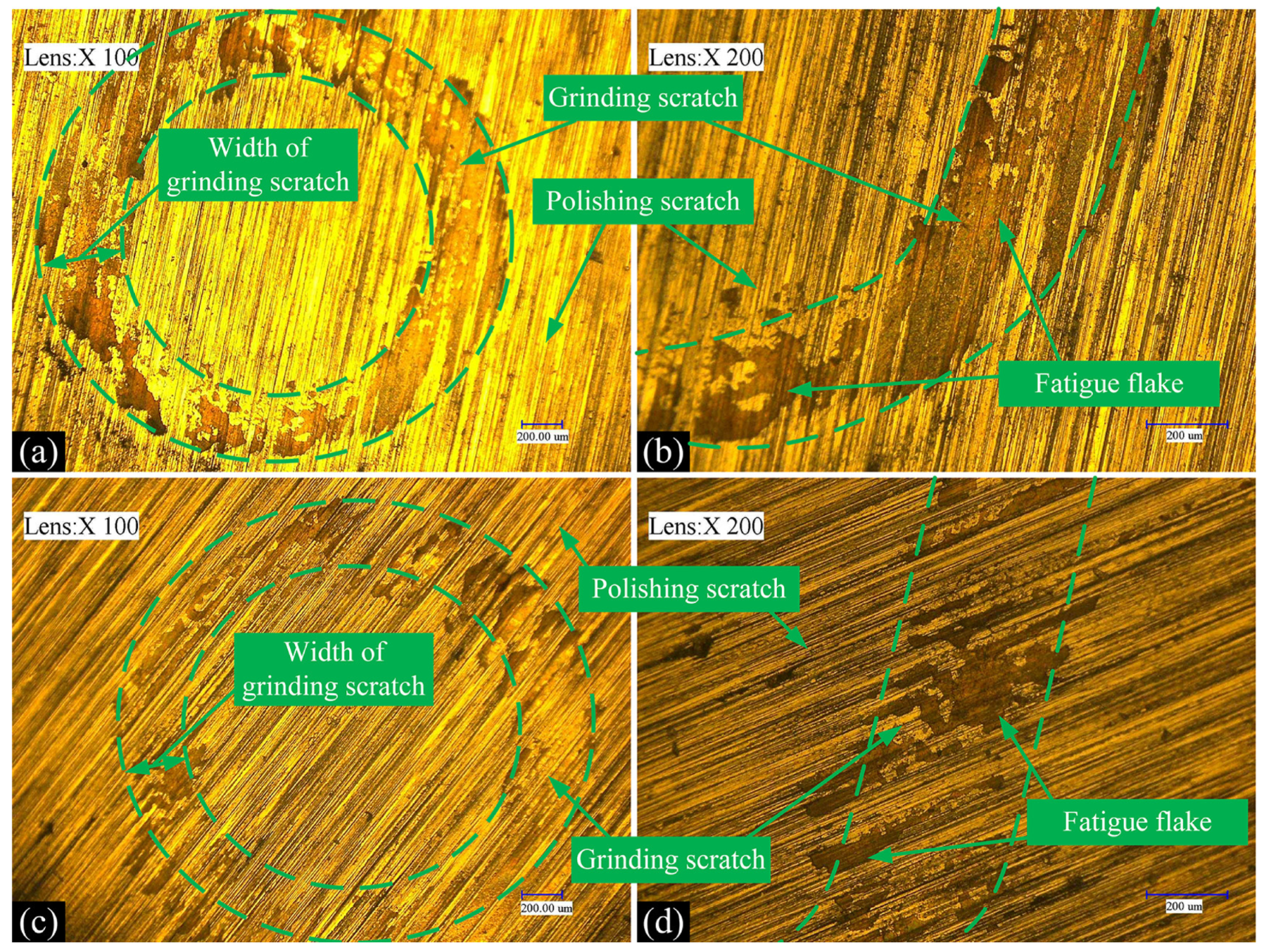 Coatings 14 00729 g015