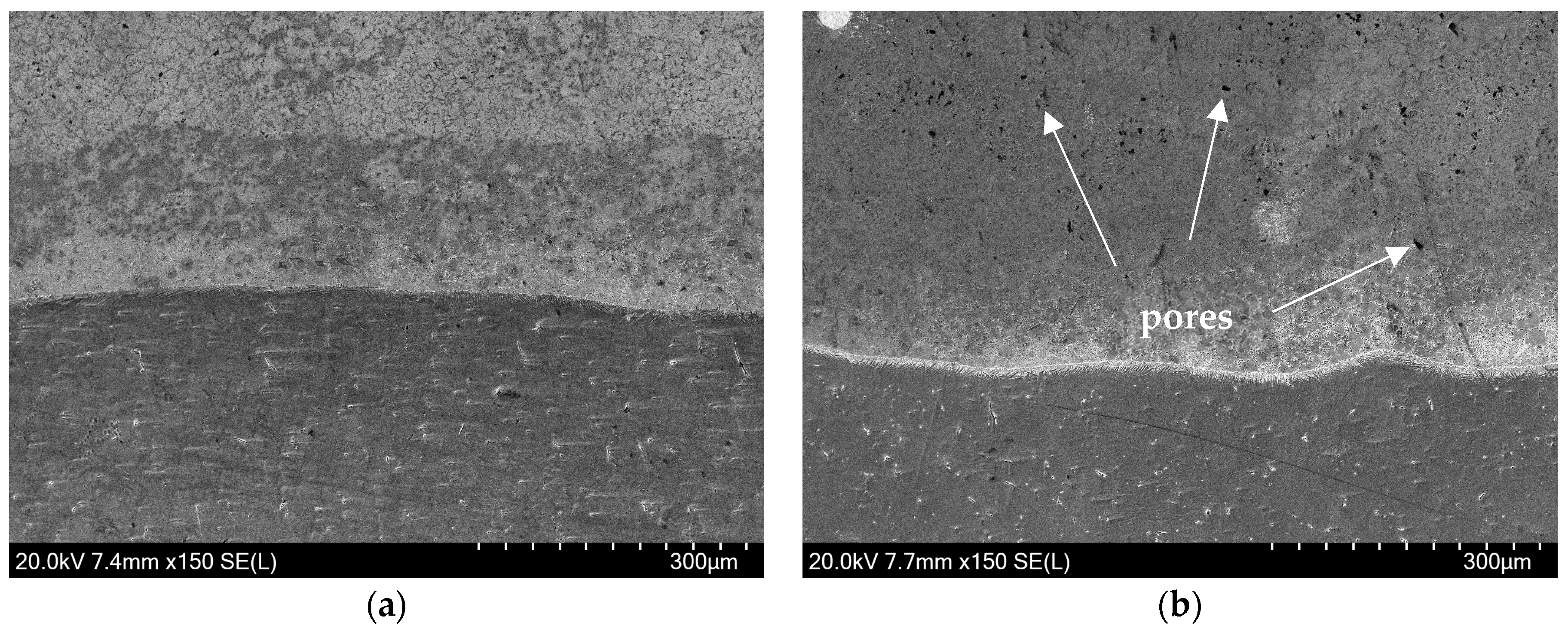 Coatings 14 00730 g005