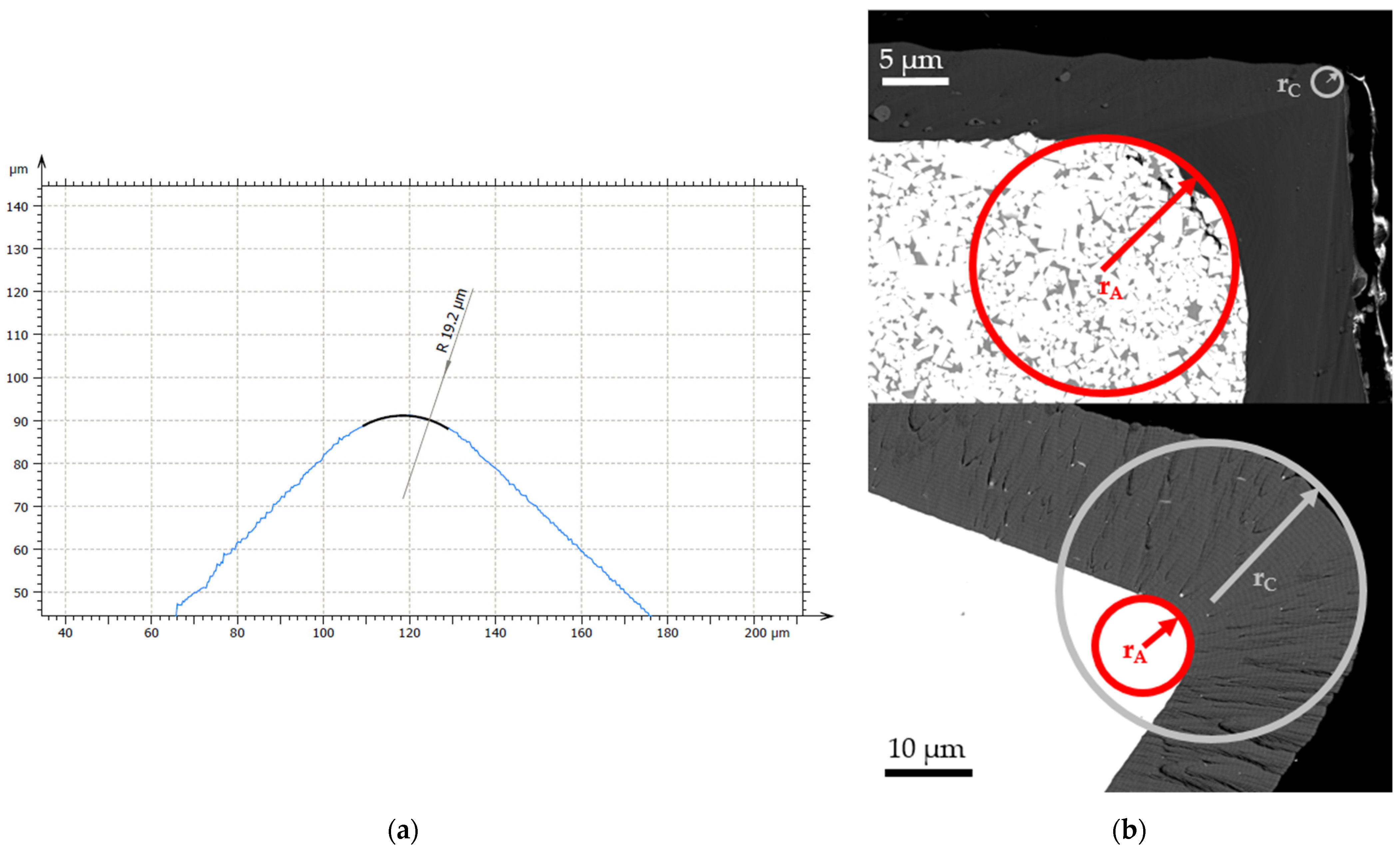 Coatings 14 00732 g002