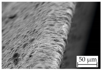 Coatings 14 00732 i002