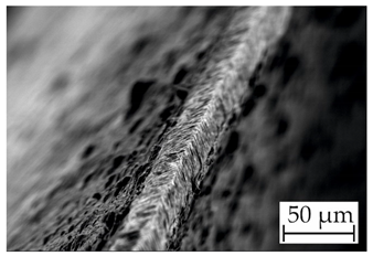 Coatings 14 00732 i003