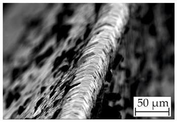 Coatings 14 00732 i005