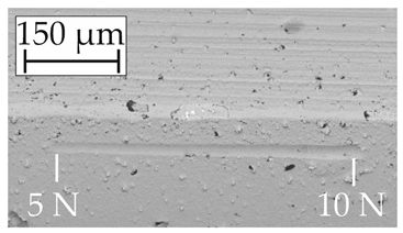 Coatings 14 00732 i013