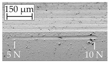 Coatings 14 00732 i017