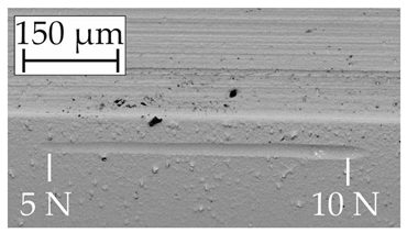 Coatings 14 00732 i018