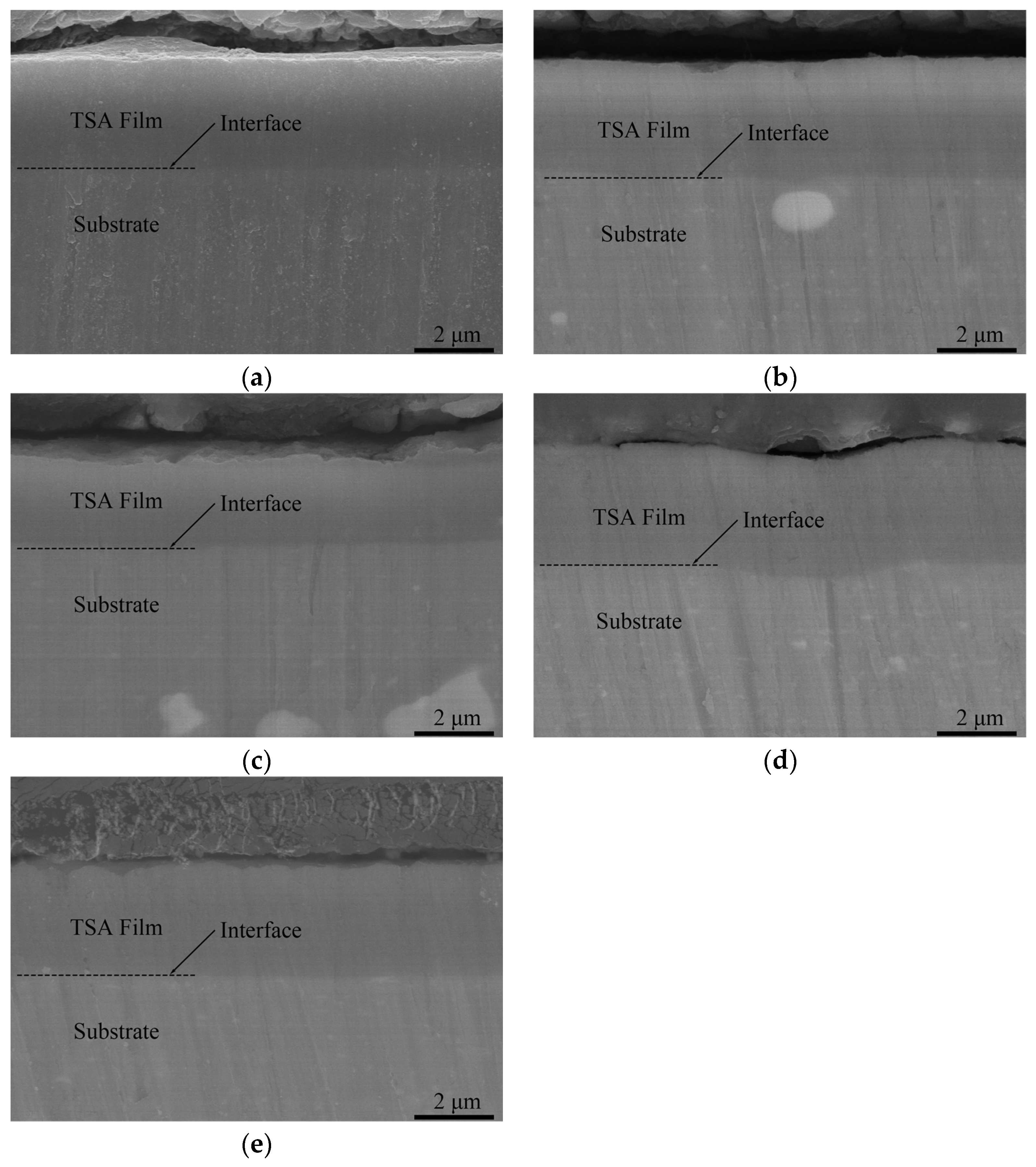 Coatings 14 00733 g002
