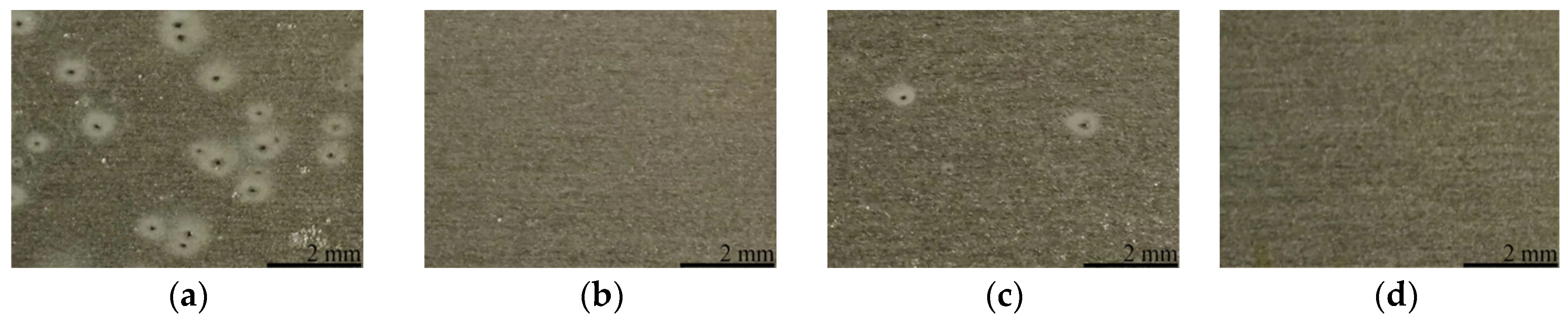 Coatings 14 00733 g009