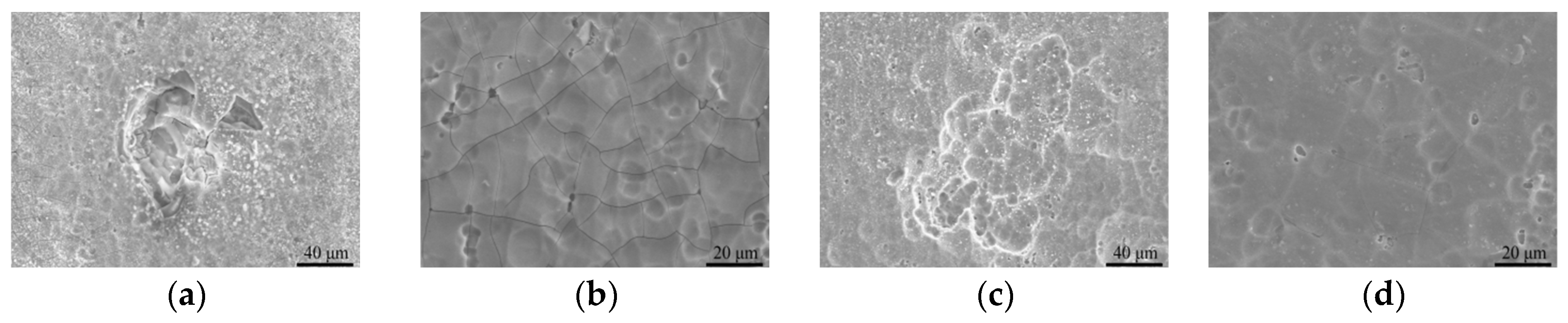 Coatings 14 00733 g010