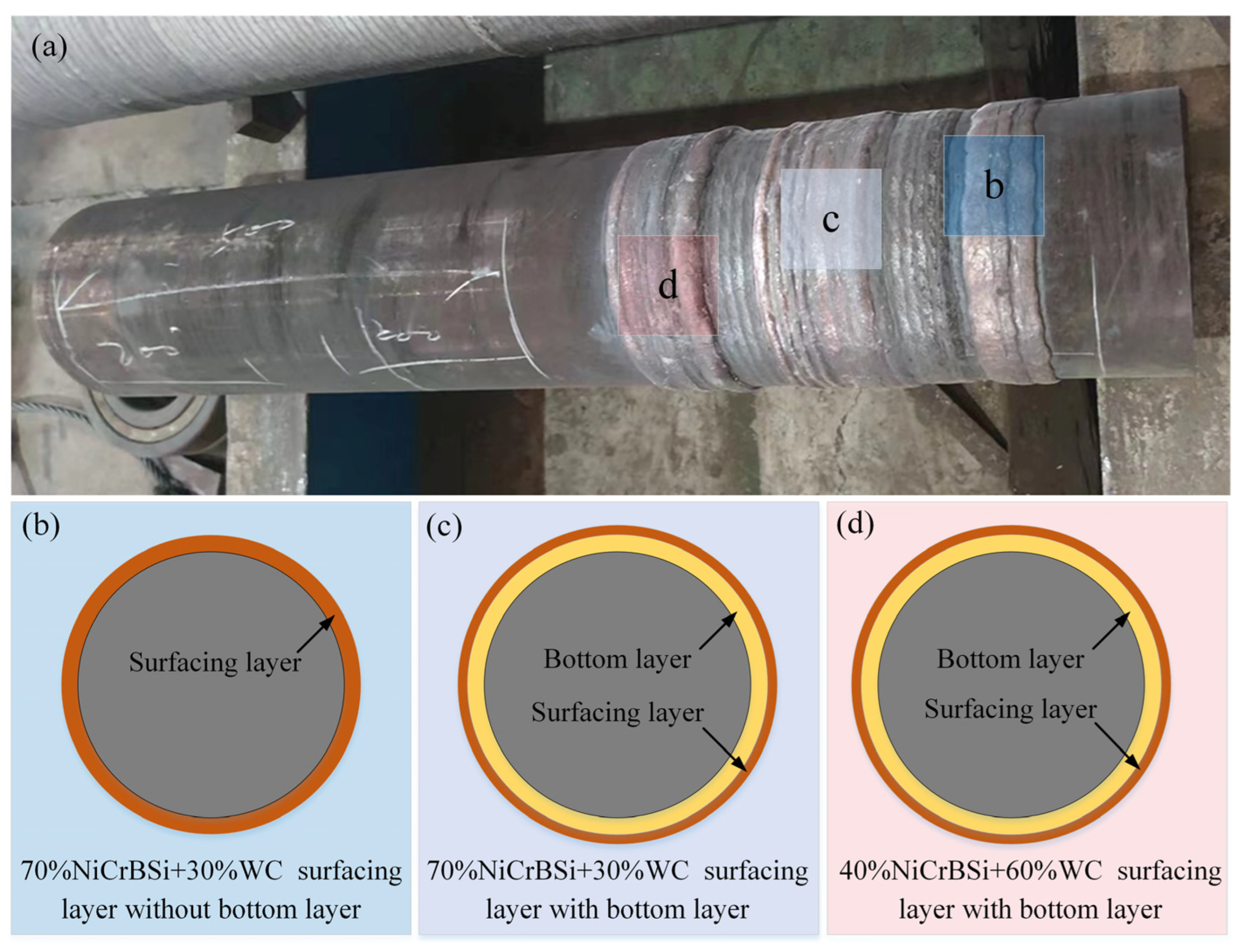Coatings 14 00734 g006