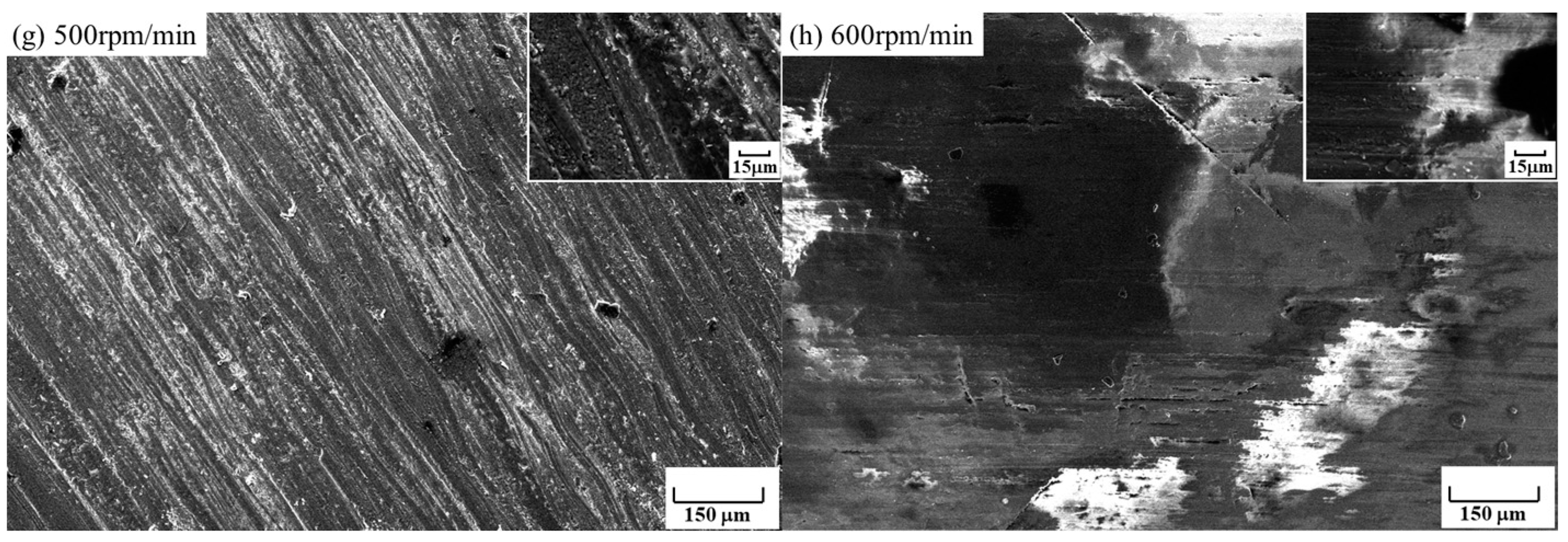 Coatings 14 00735 g006b