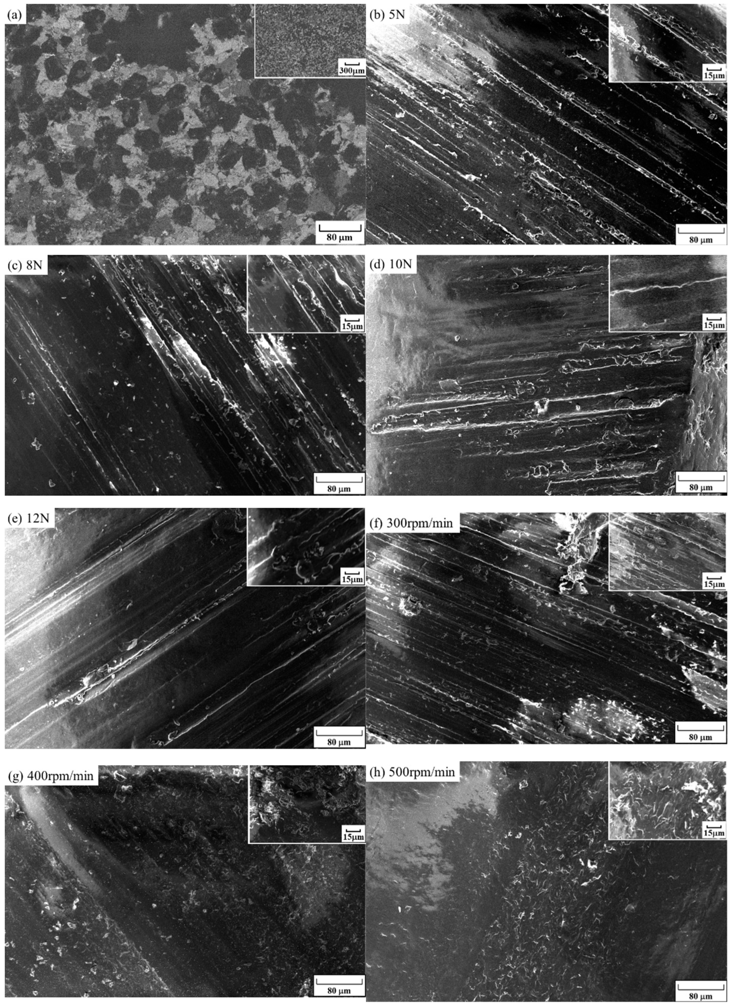 Coatings 14 00735 g008