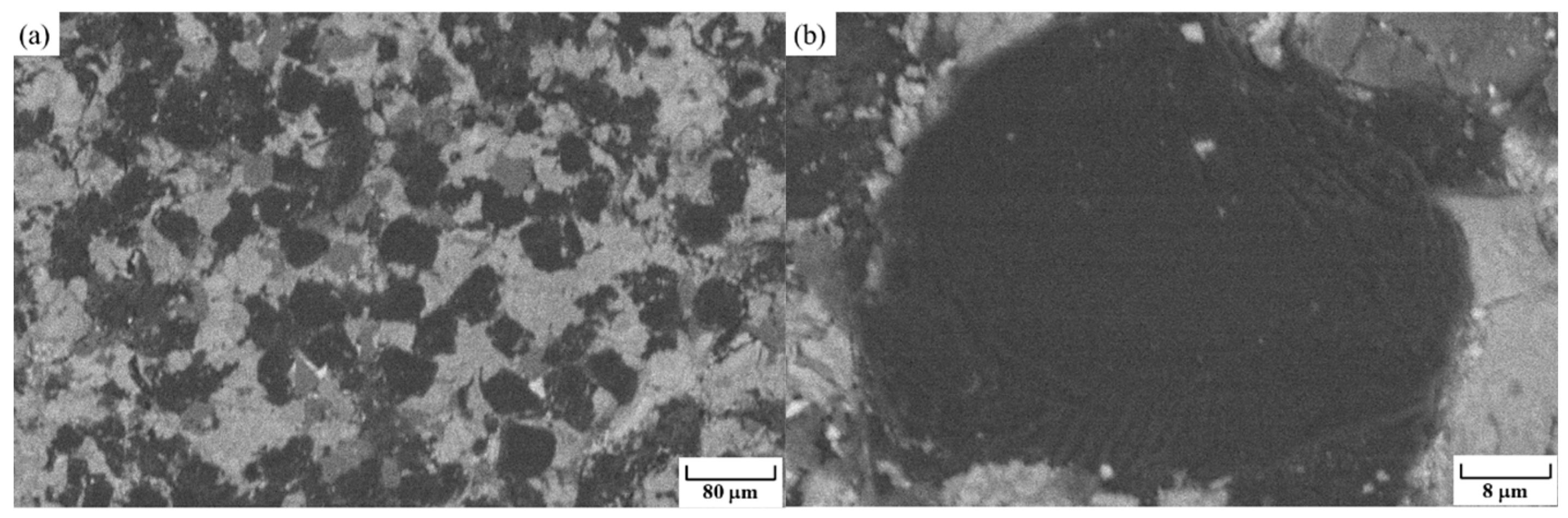Coatings 14 00735 g010