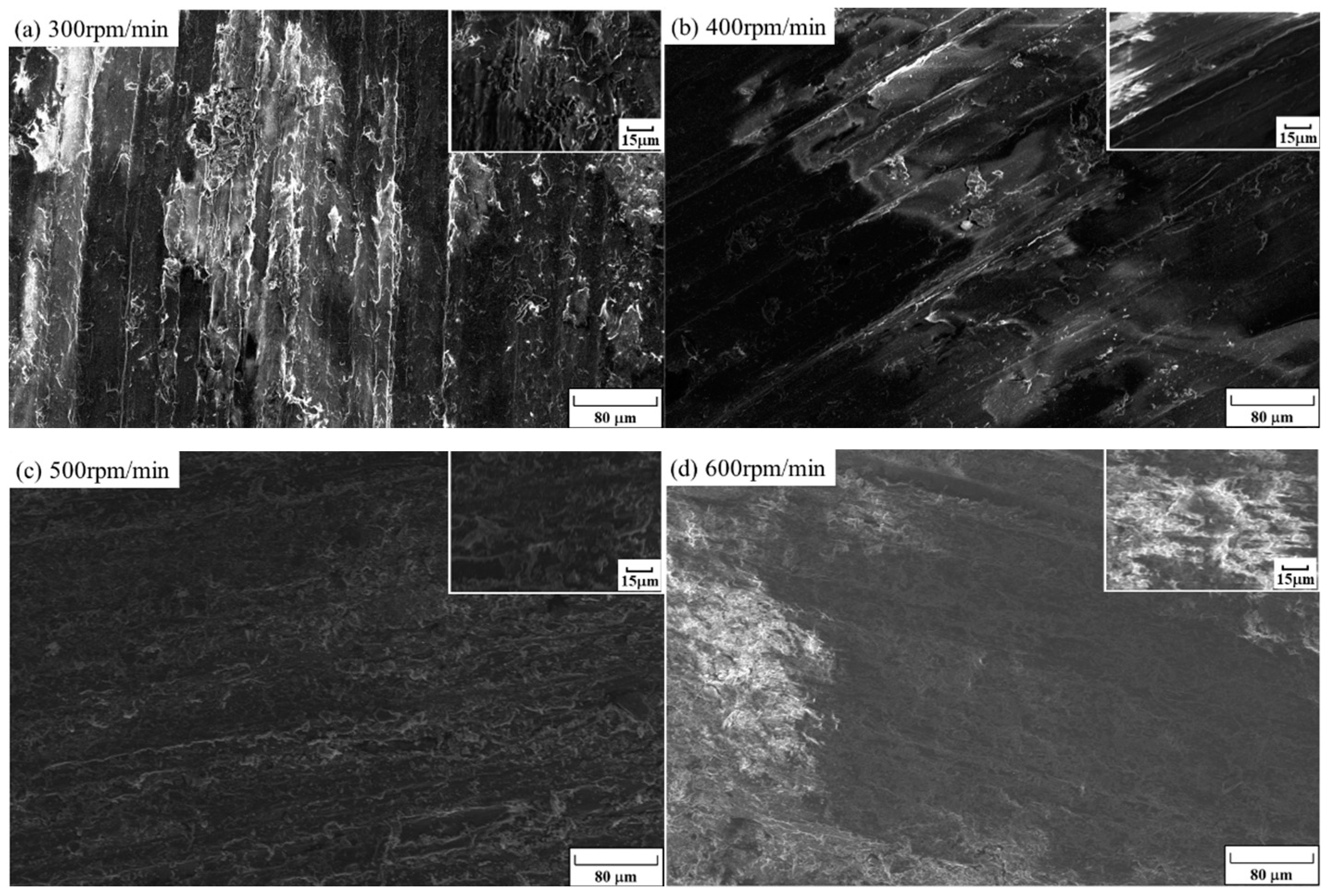 Coatings 14 00735 g012