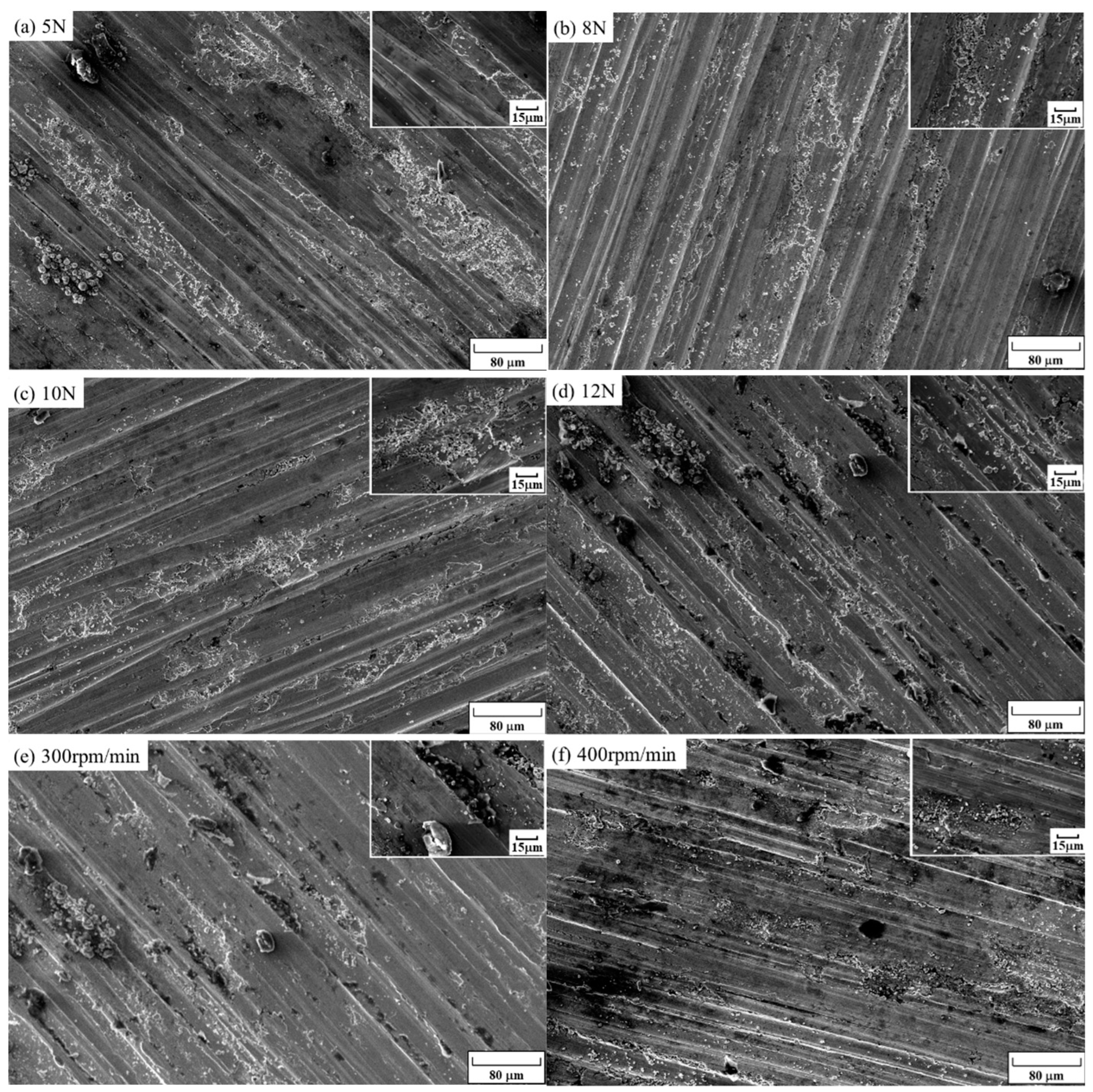 Coatings 14 00735 g015a