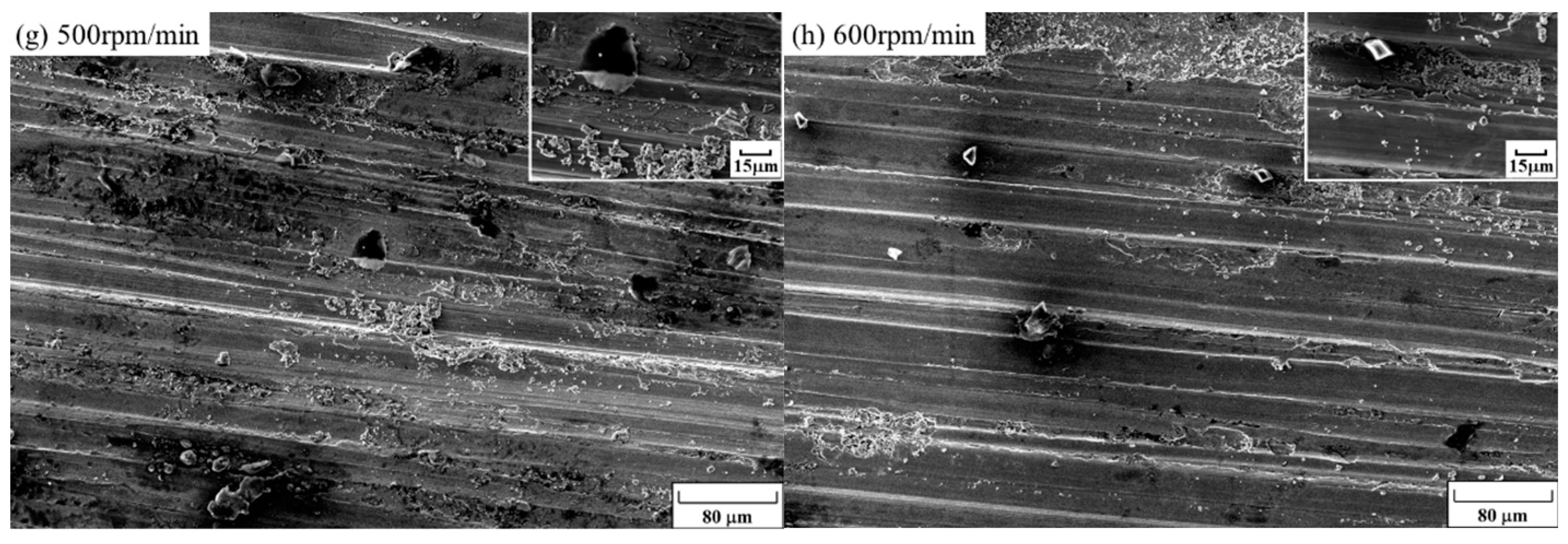 Coatings 14 00735 g015b