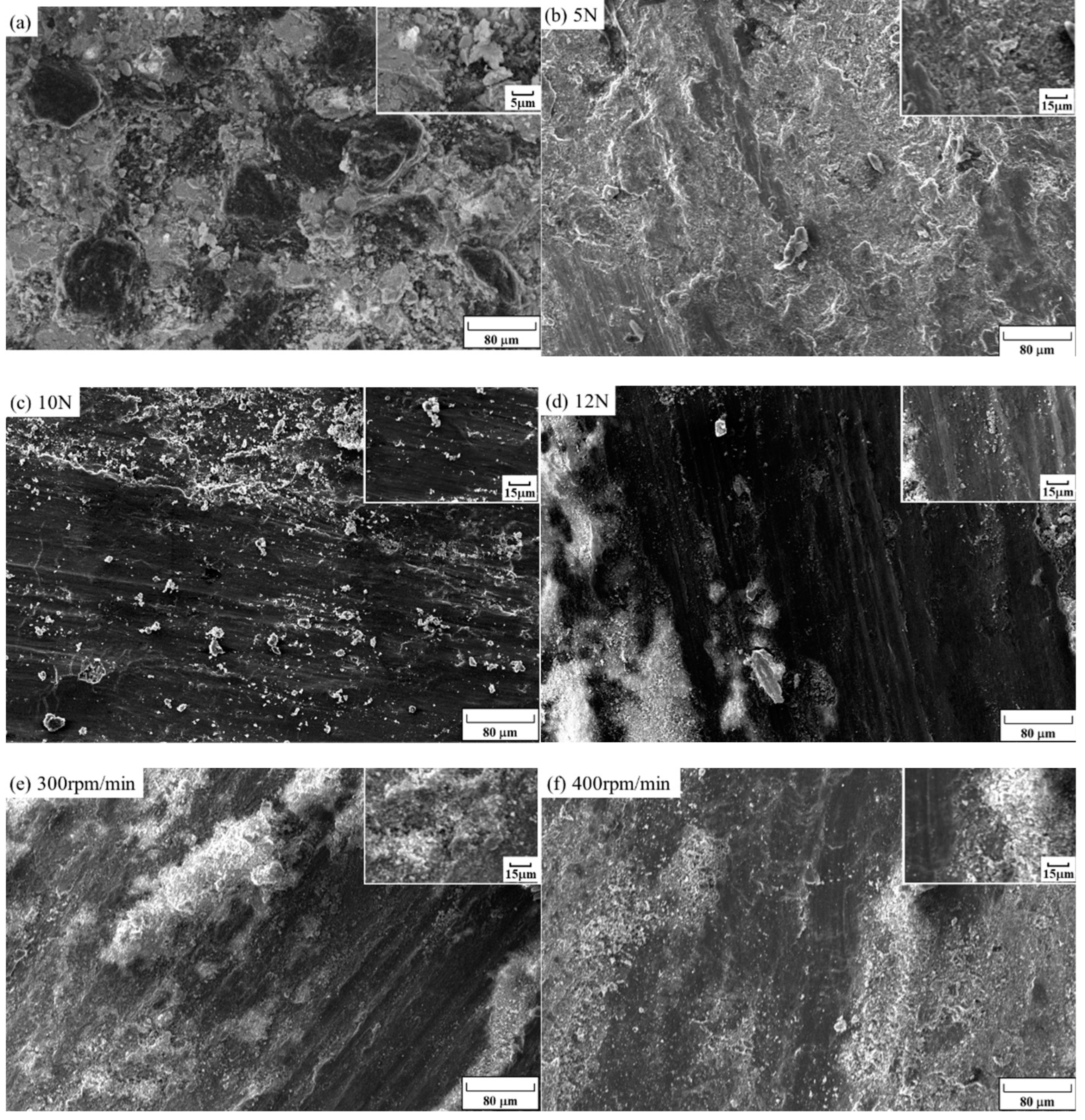 Coatings 14 00735 g017a