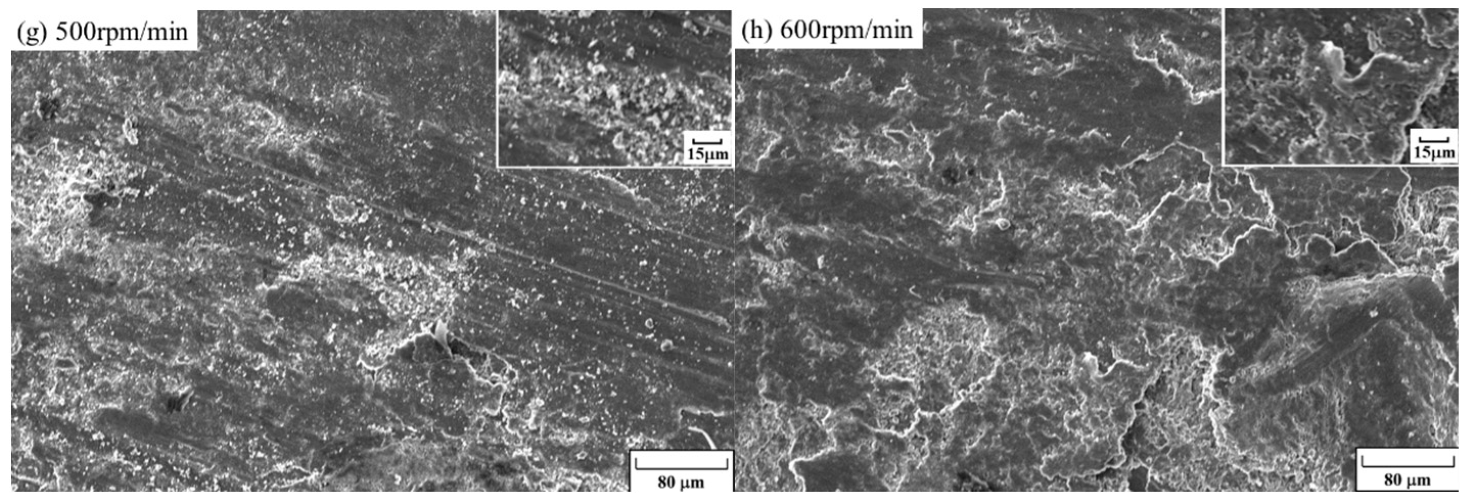 Coatings 14 00735 g017b