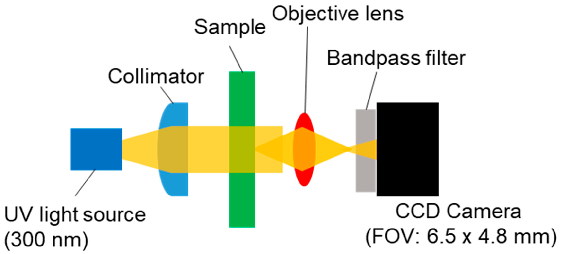 Coatings 14 00738 g003