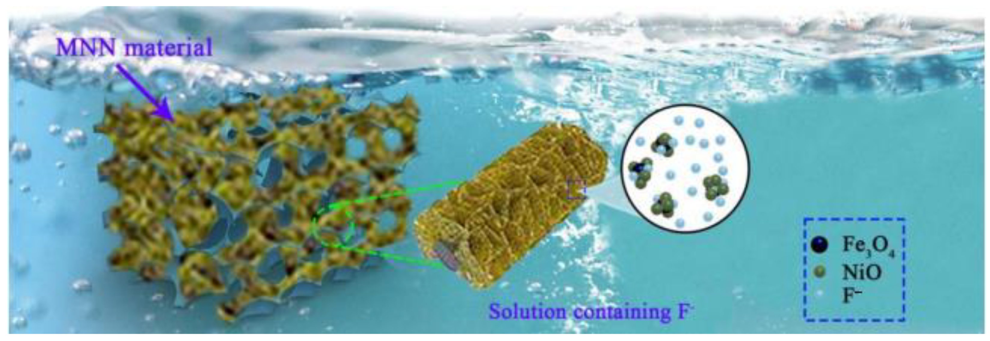 Coatings 14 00739 g002