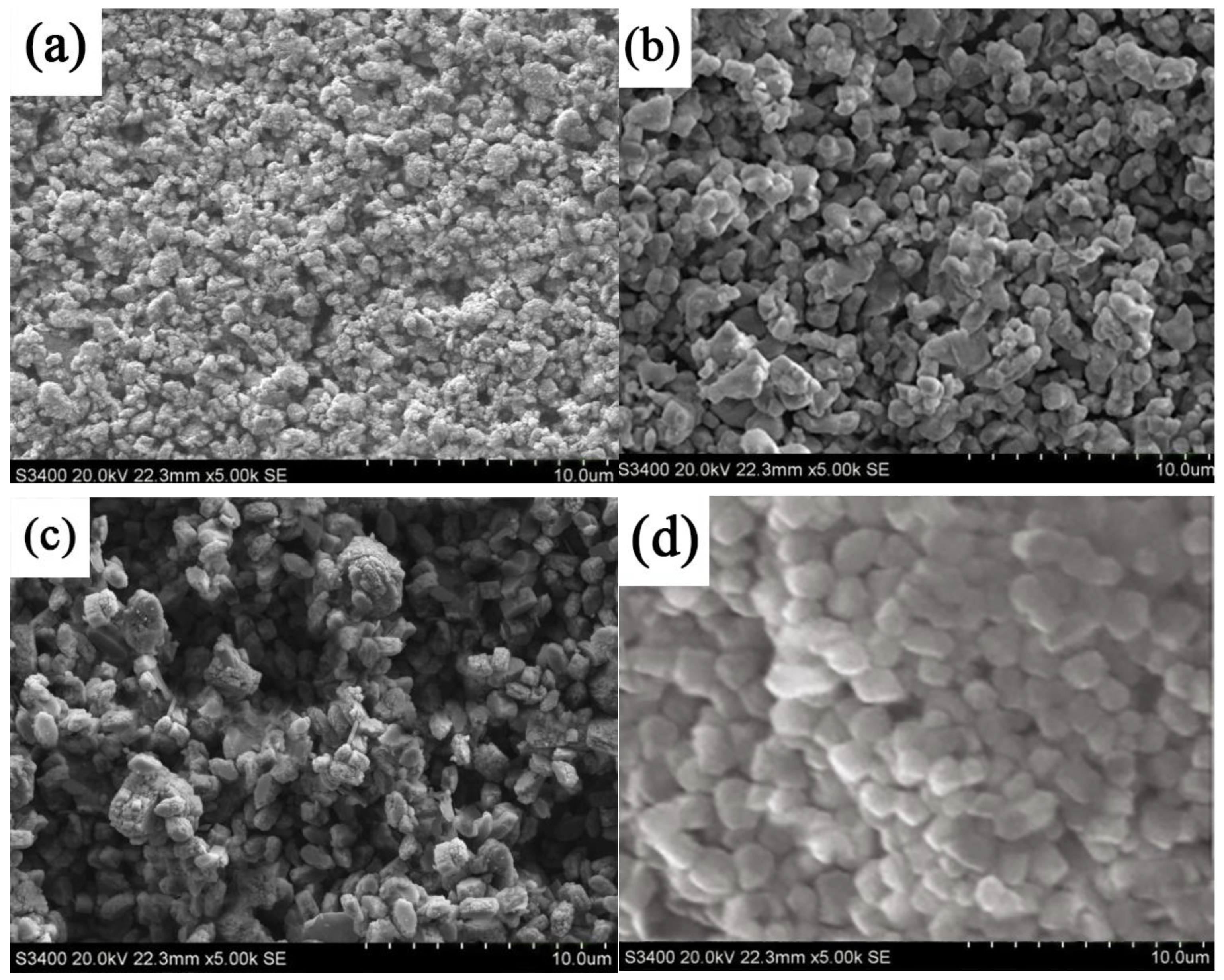 Coatings 14 00739 g003a