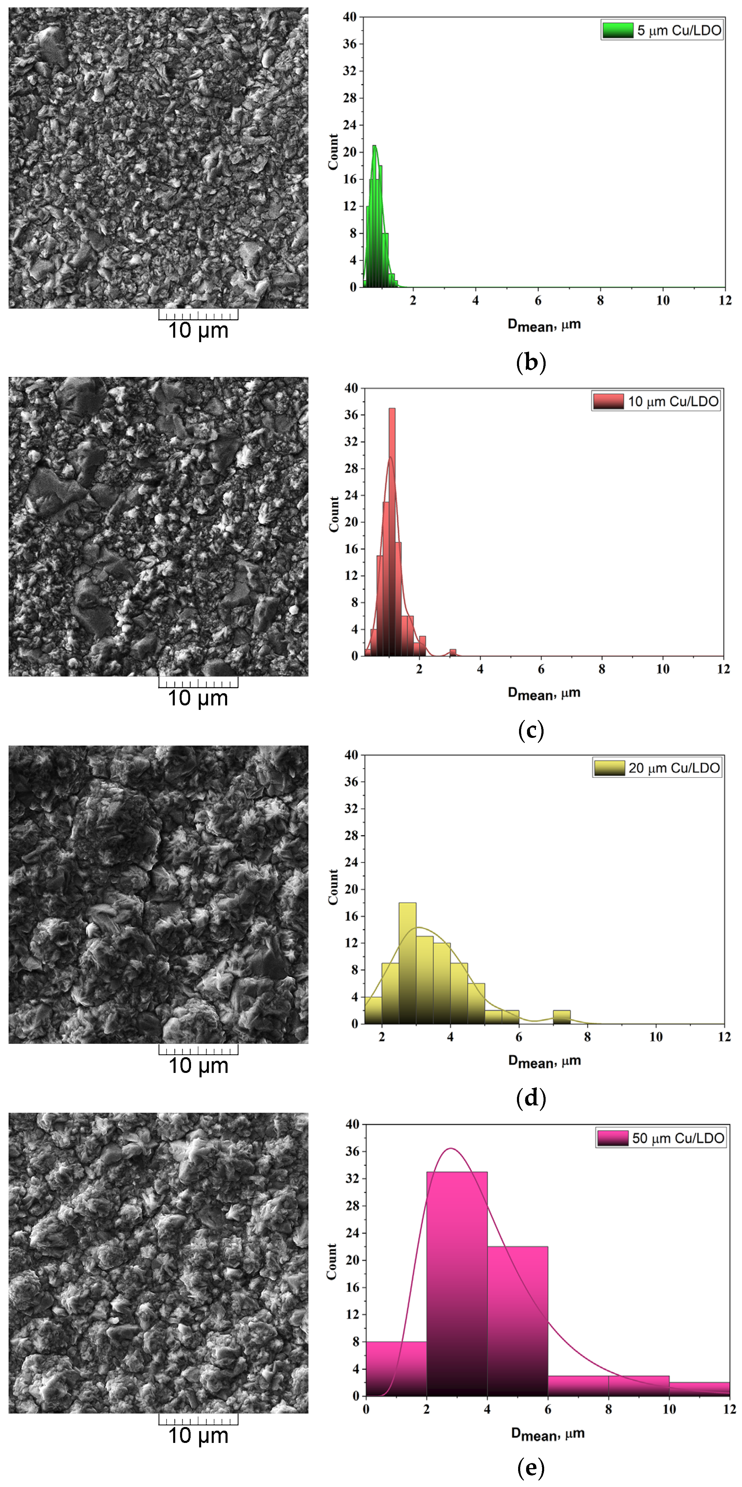 Coatings 14 00740 g005b