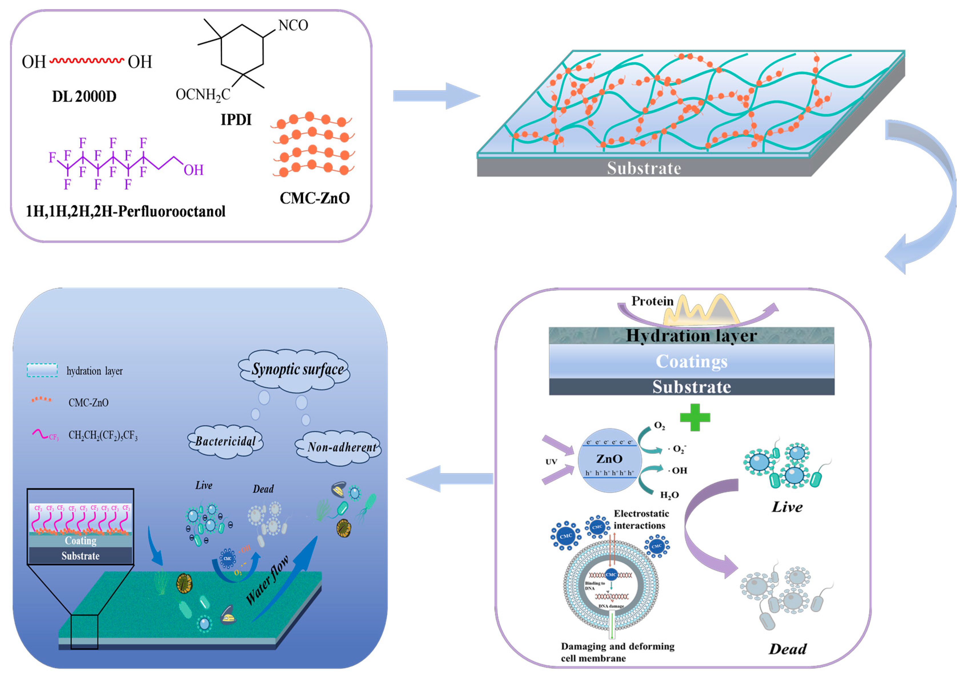 Coatings 14 00741 g003