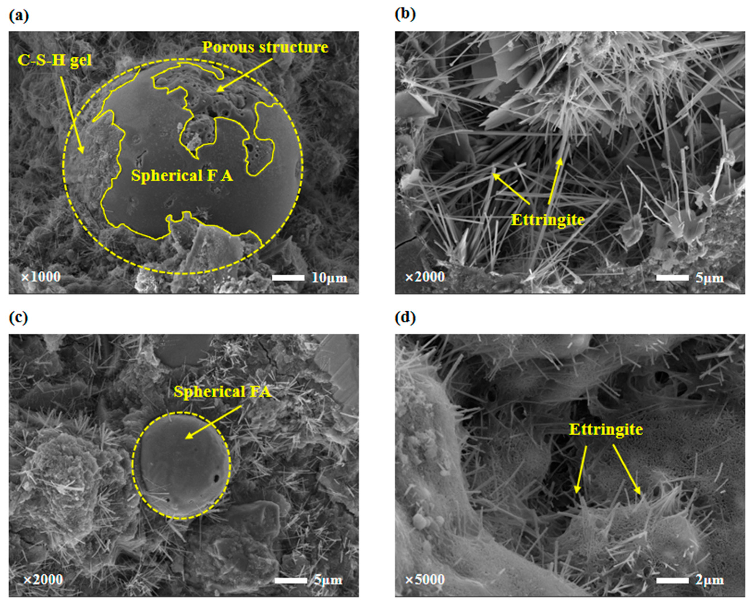 Coatings 14 00743 g009