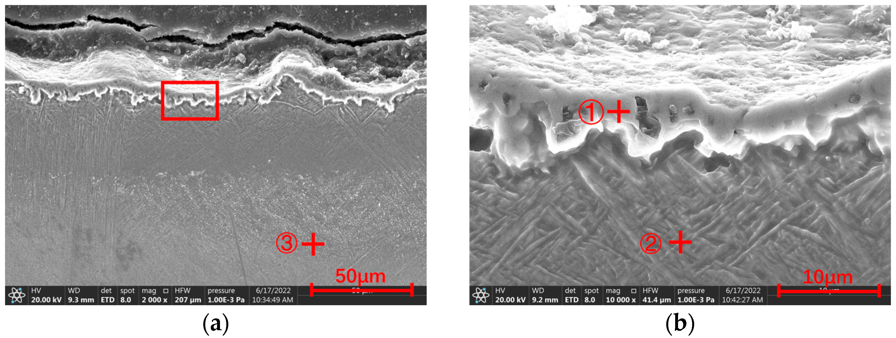 Coatings 14 00753 g002