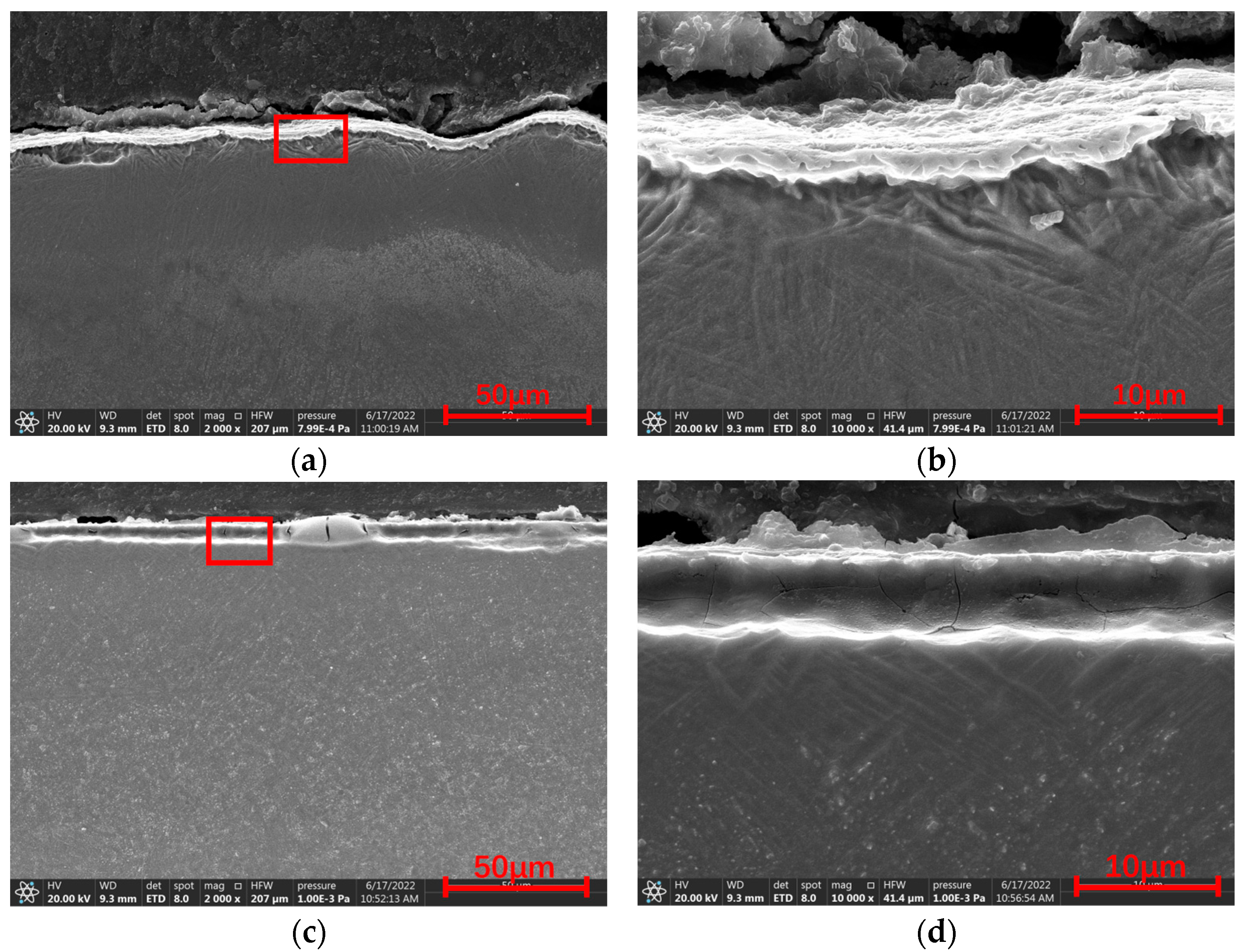 Coatings 14 00753 g004