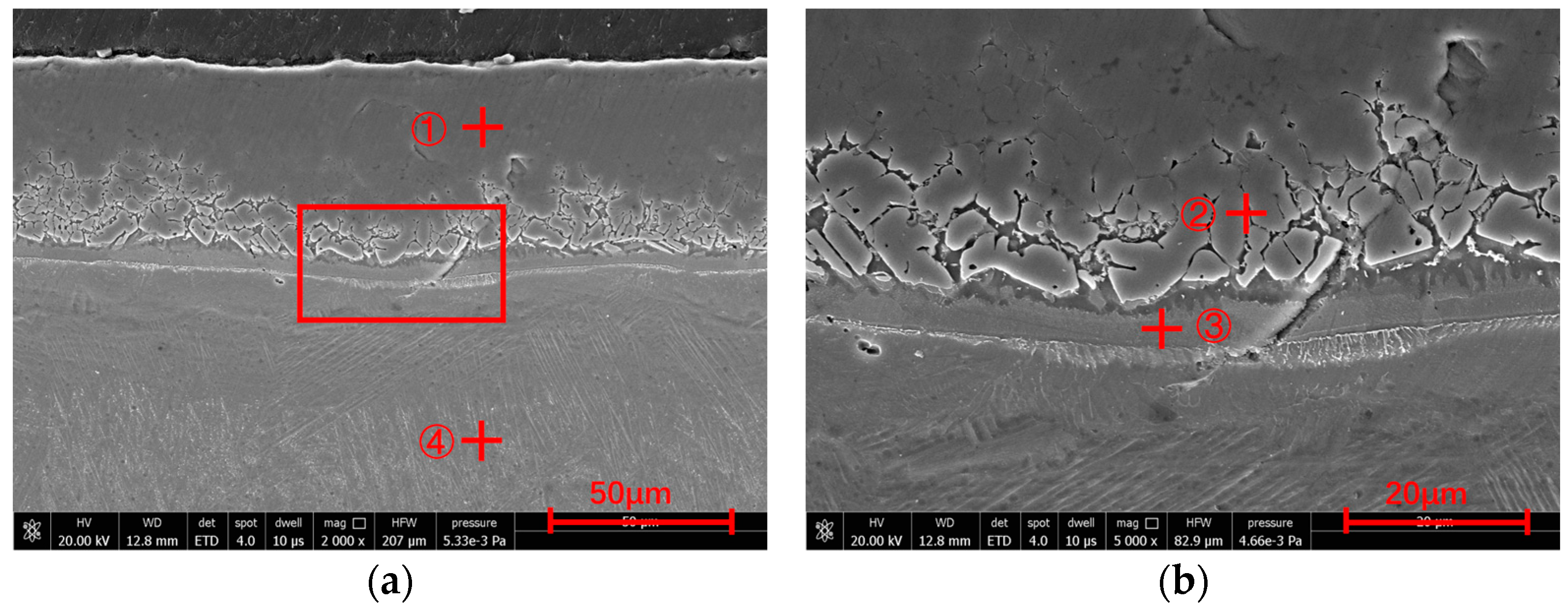 Coatings 14 00753 g005