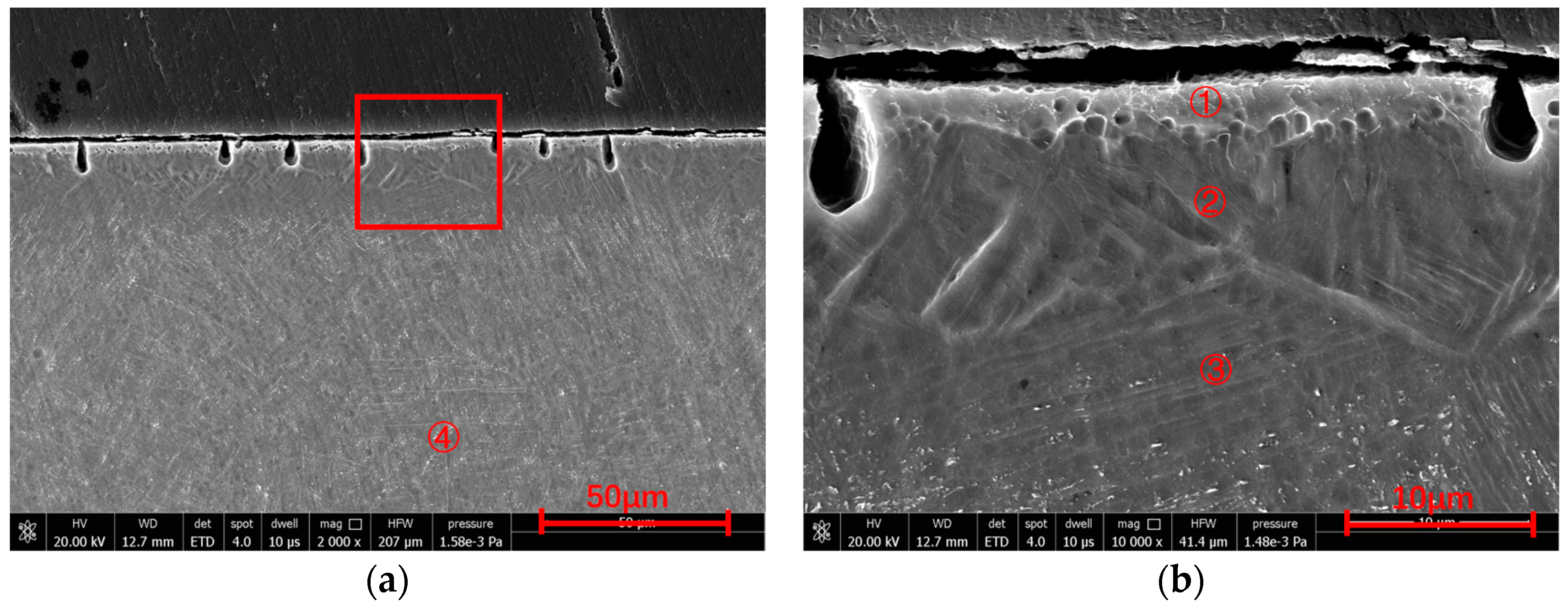 Coatings 14 00753 g007