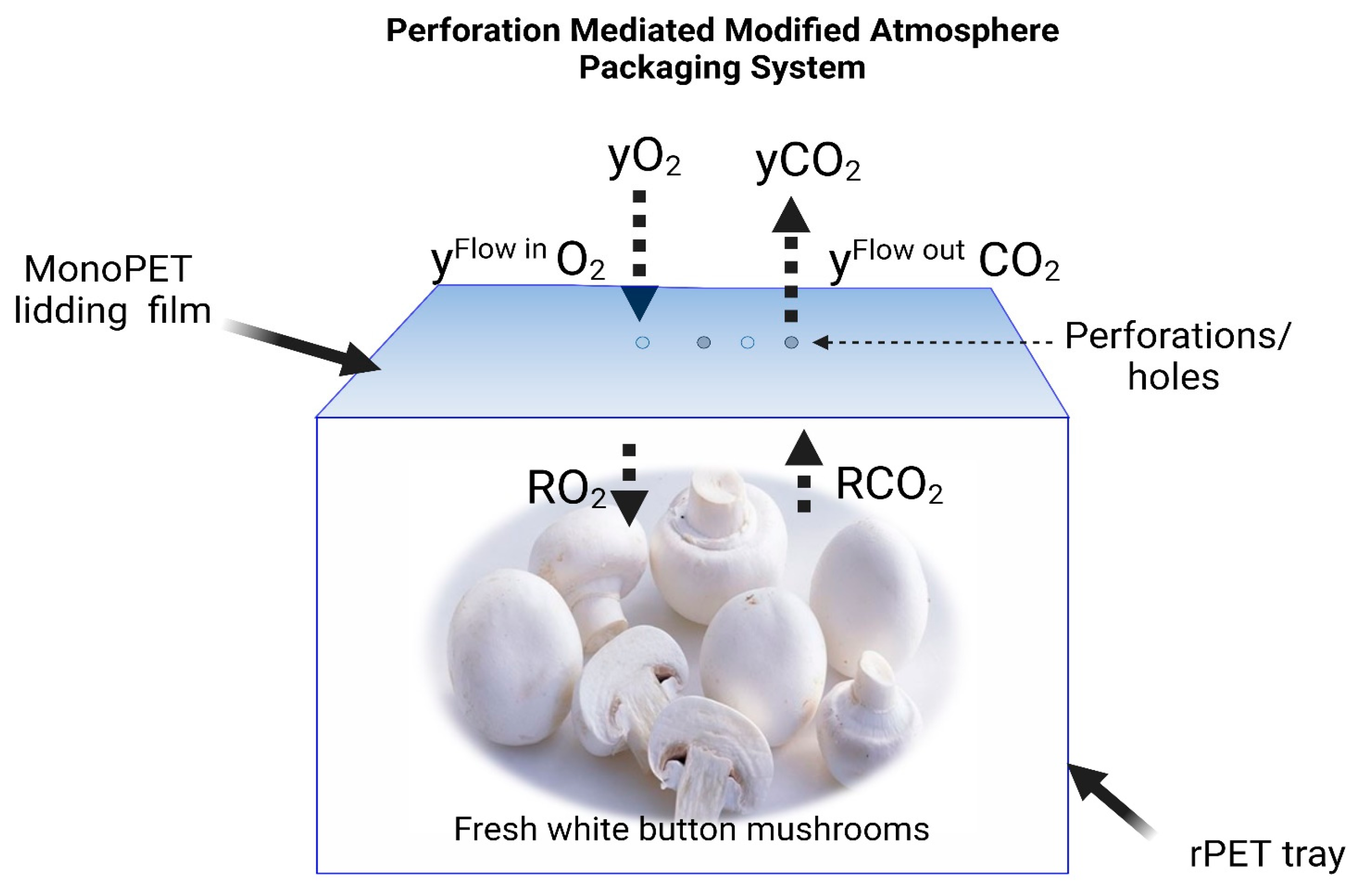 Coatings 14 00754 g001