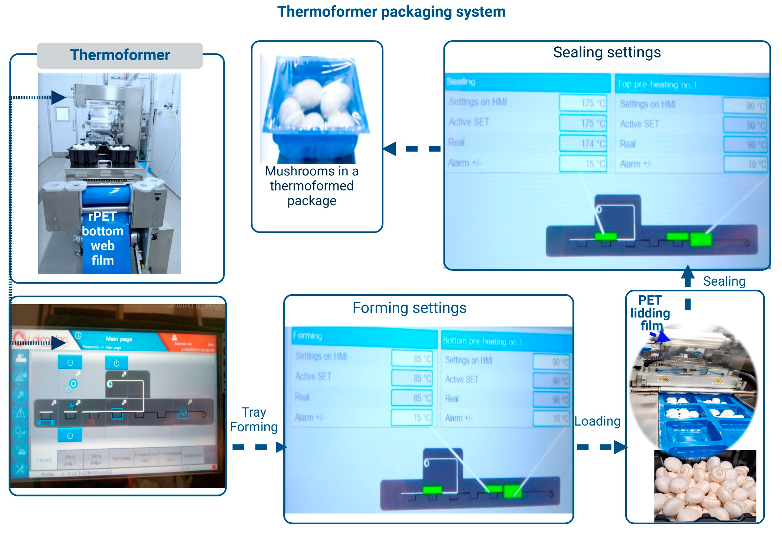 Coatings 14 00754 g003