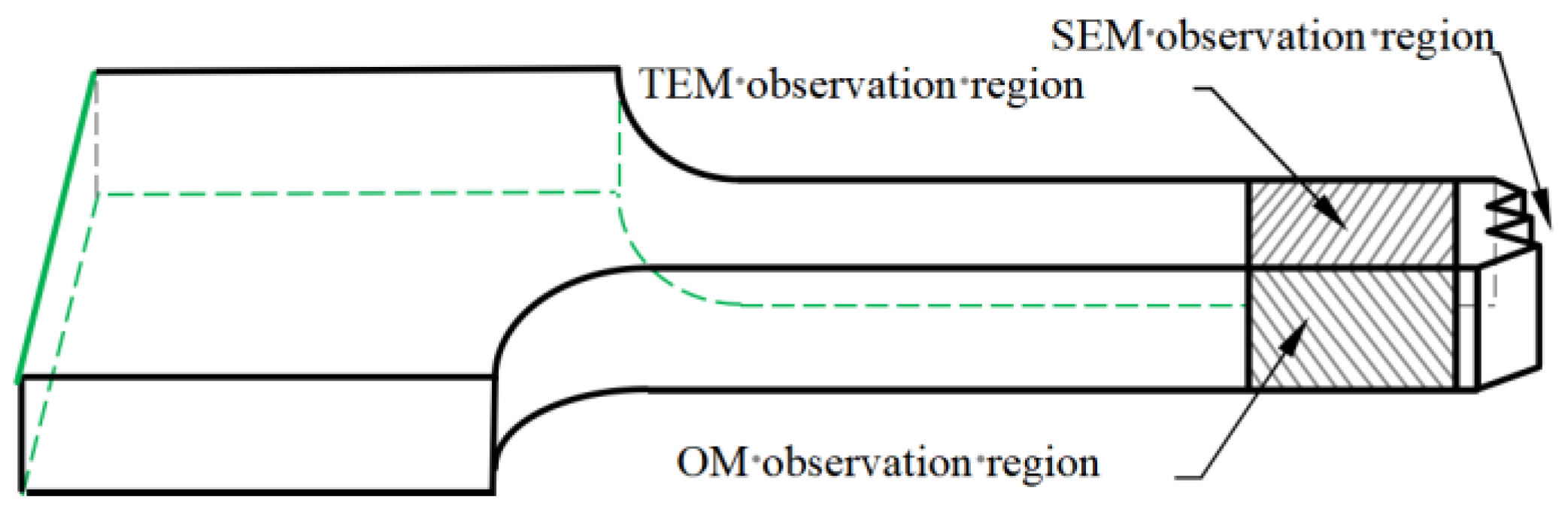 Coatings 14 00755 g003
