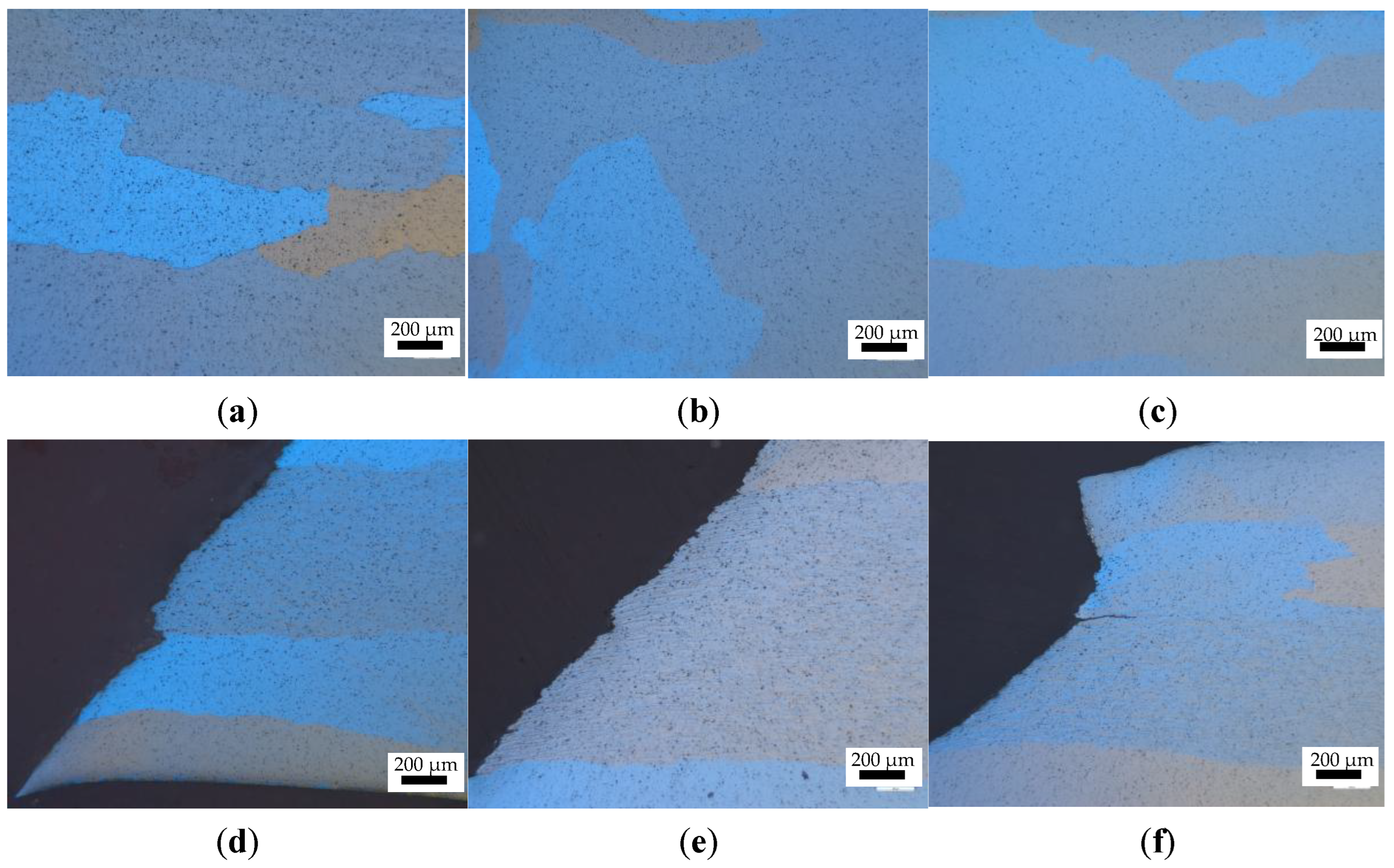 Coatings 14 00755 g008