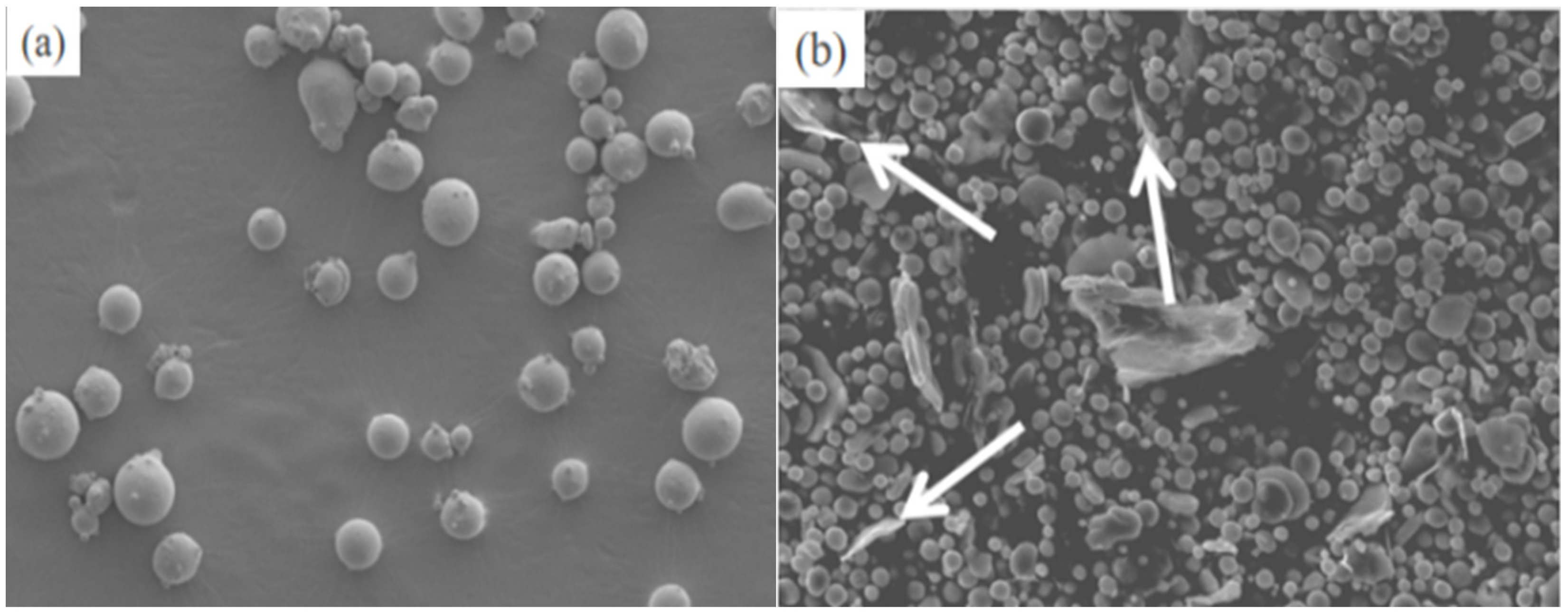 Coatings 14 00763 g002
